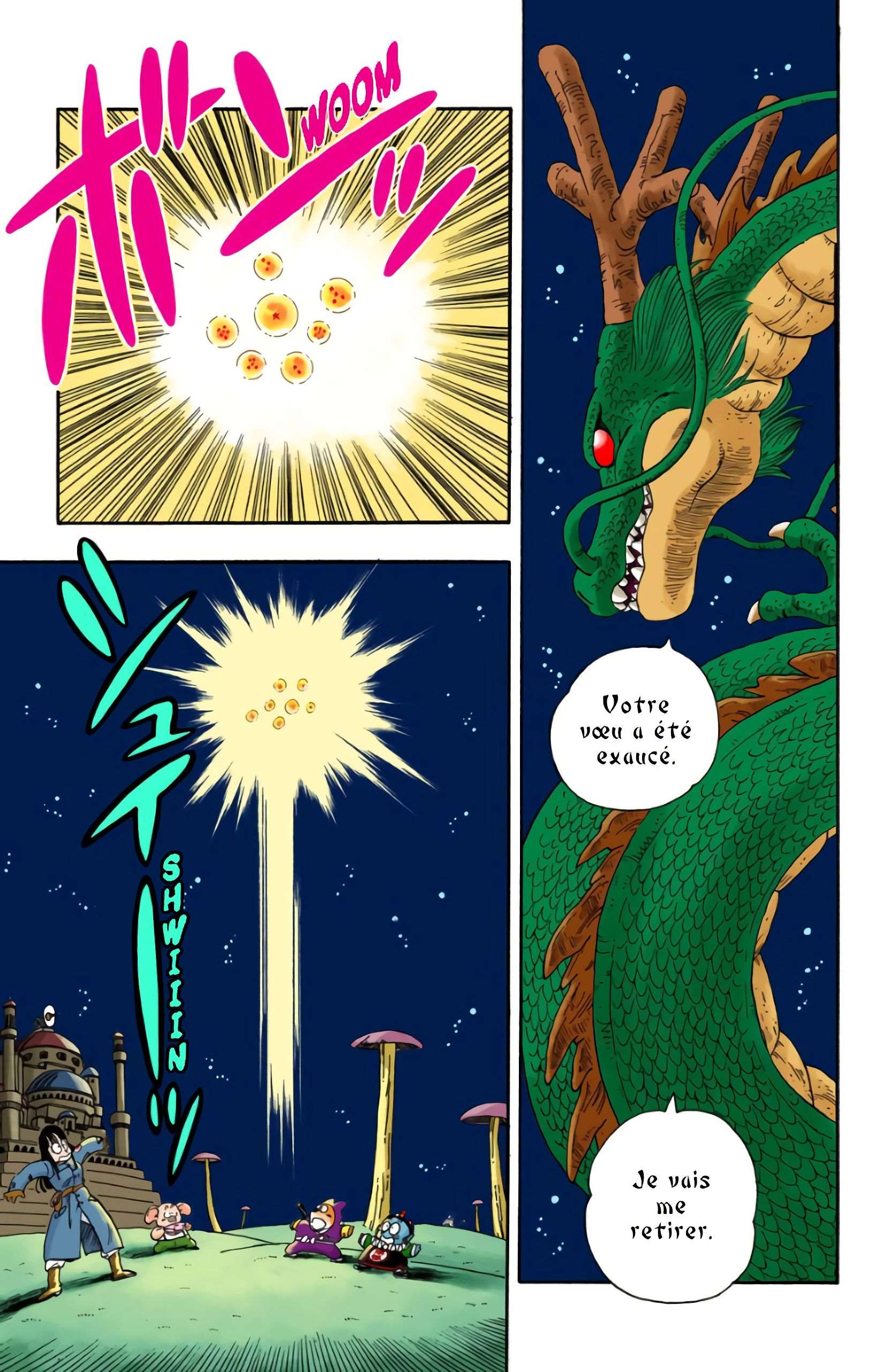 Chapitre 20 — Faites un vœu à Shenron !! — page 9