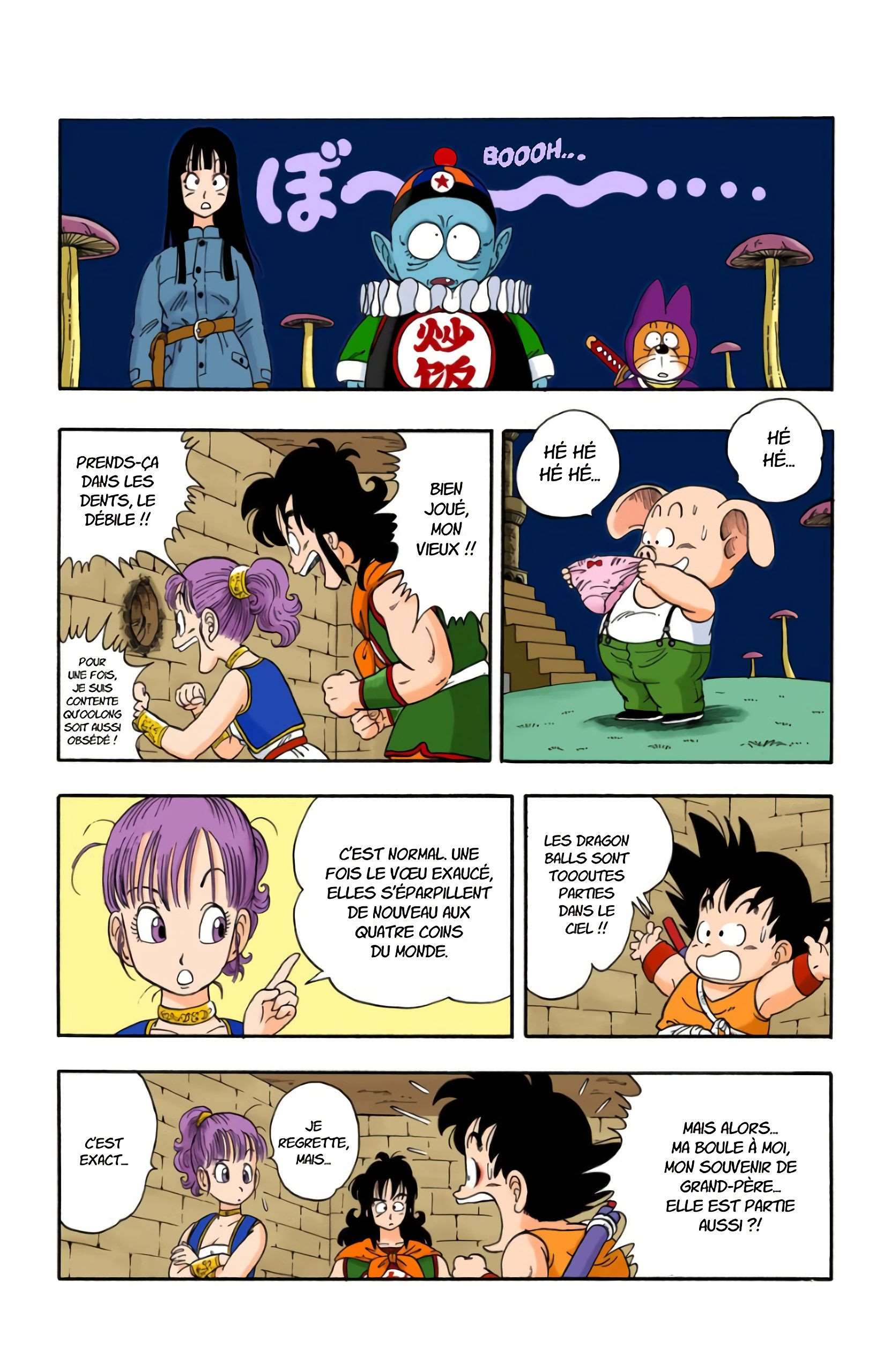 Chapitre 20 — Faites un vœu à Shenron !! — page 11