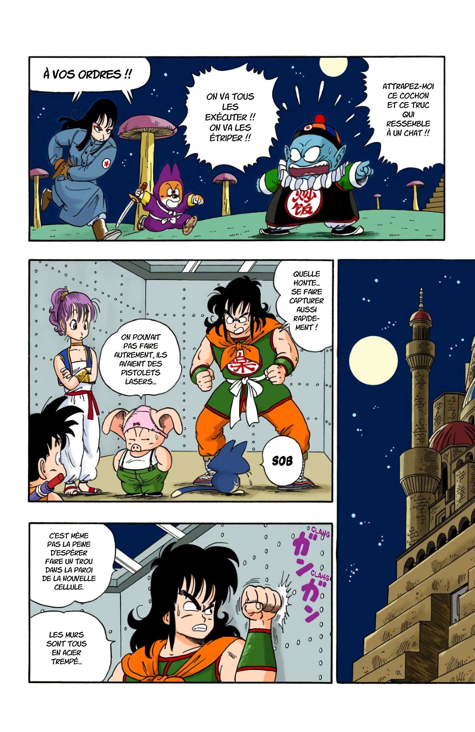 Chapitre 20 — Faites un vœu à Shenron !! — page 12