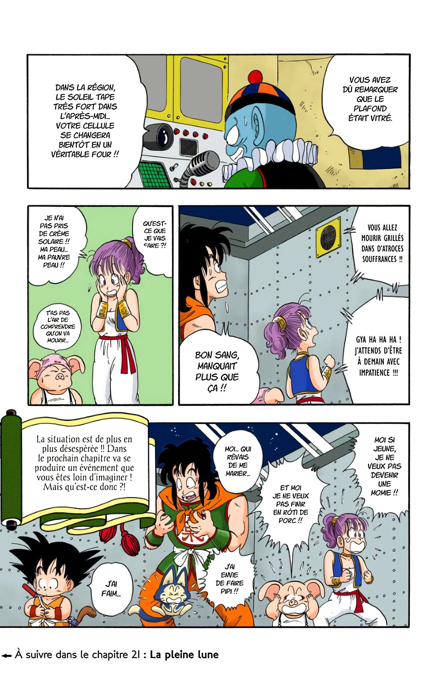 Chapitre 20 — Faites un vœu à Shenron !! — page 15