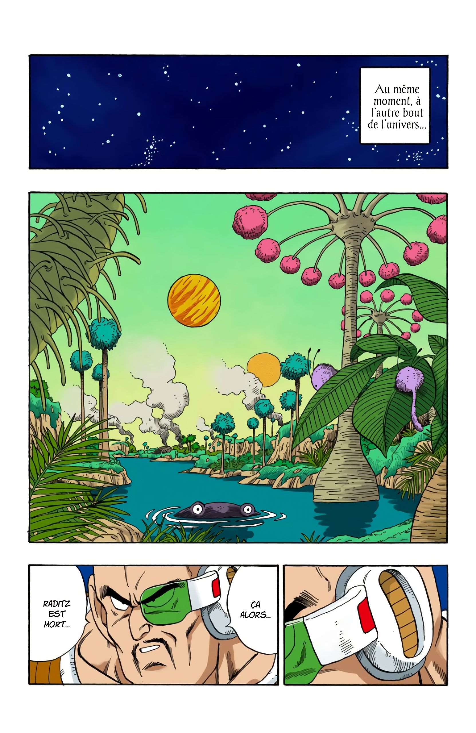 Chapitre 204 — Adieu Son Gokû — page 10