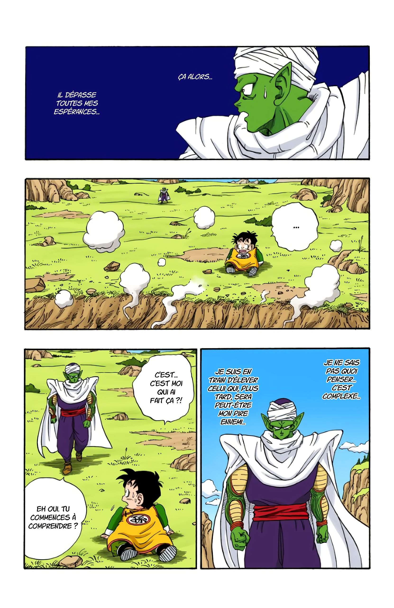 Chapitre 206 — Son Gohan et Piccolo Daimaô — page 13