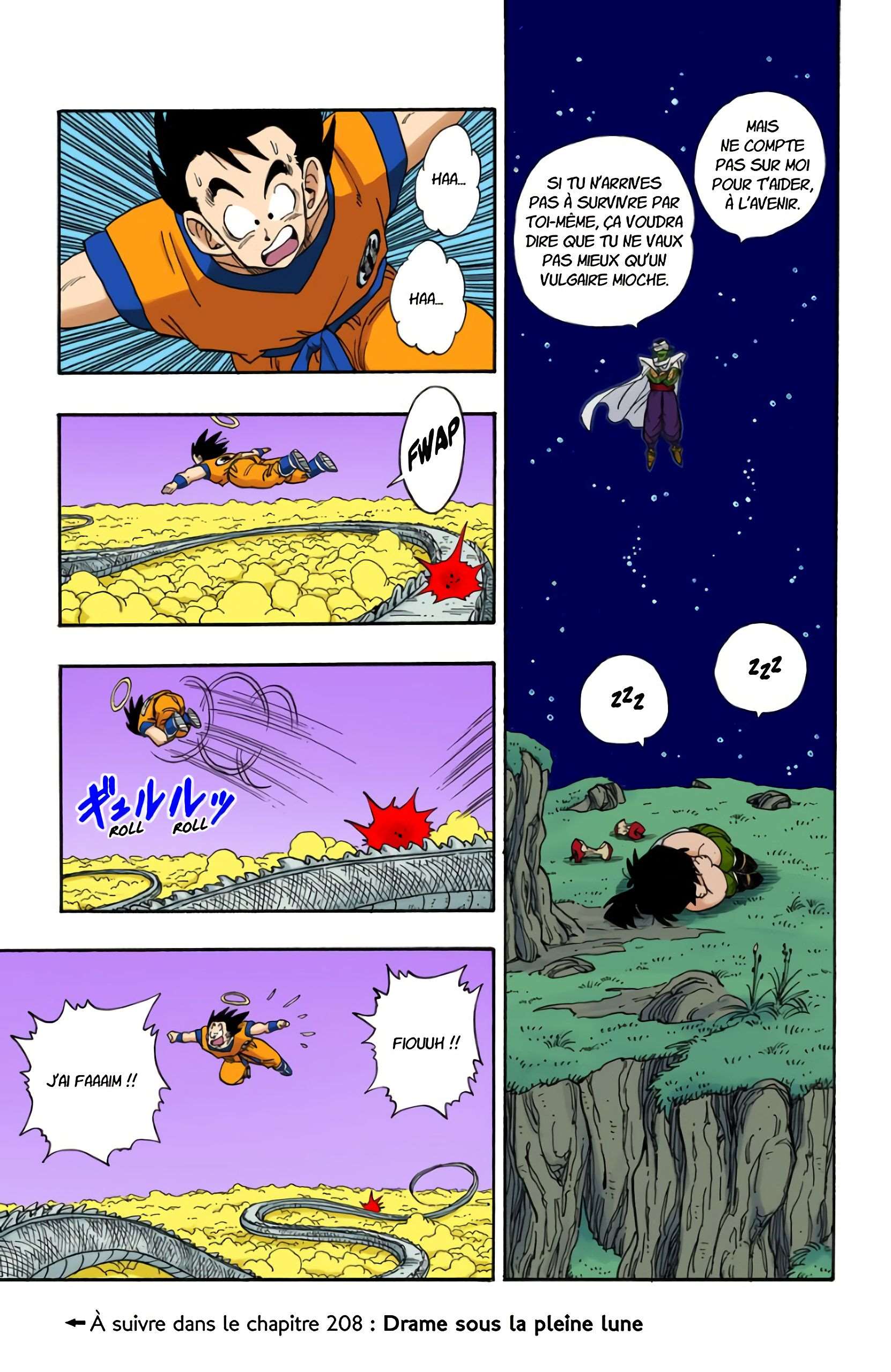 Chapitre 207 — Les complaintes de Son Gohan — page 17