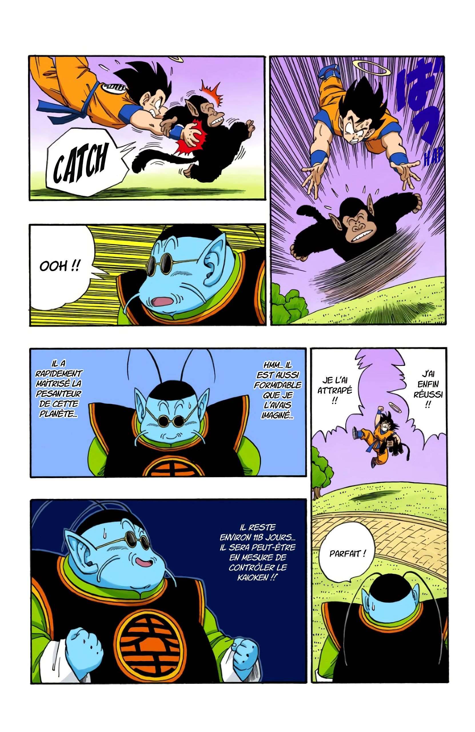 Chapitre 211 — Son Gokû, un mort qui s'entraîne à fond avec maître Kaiô ! — page 12