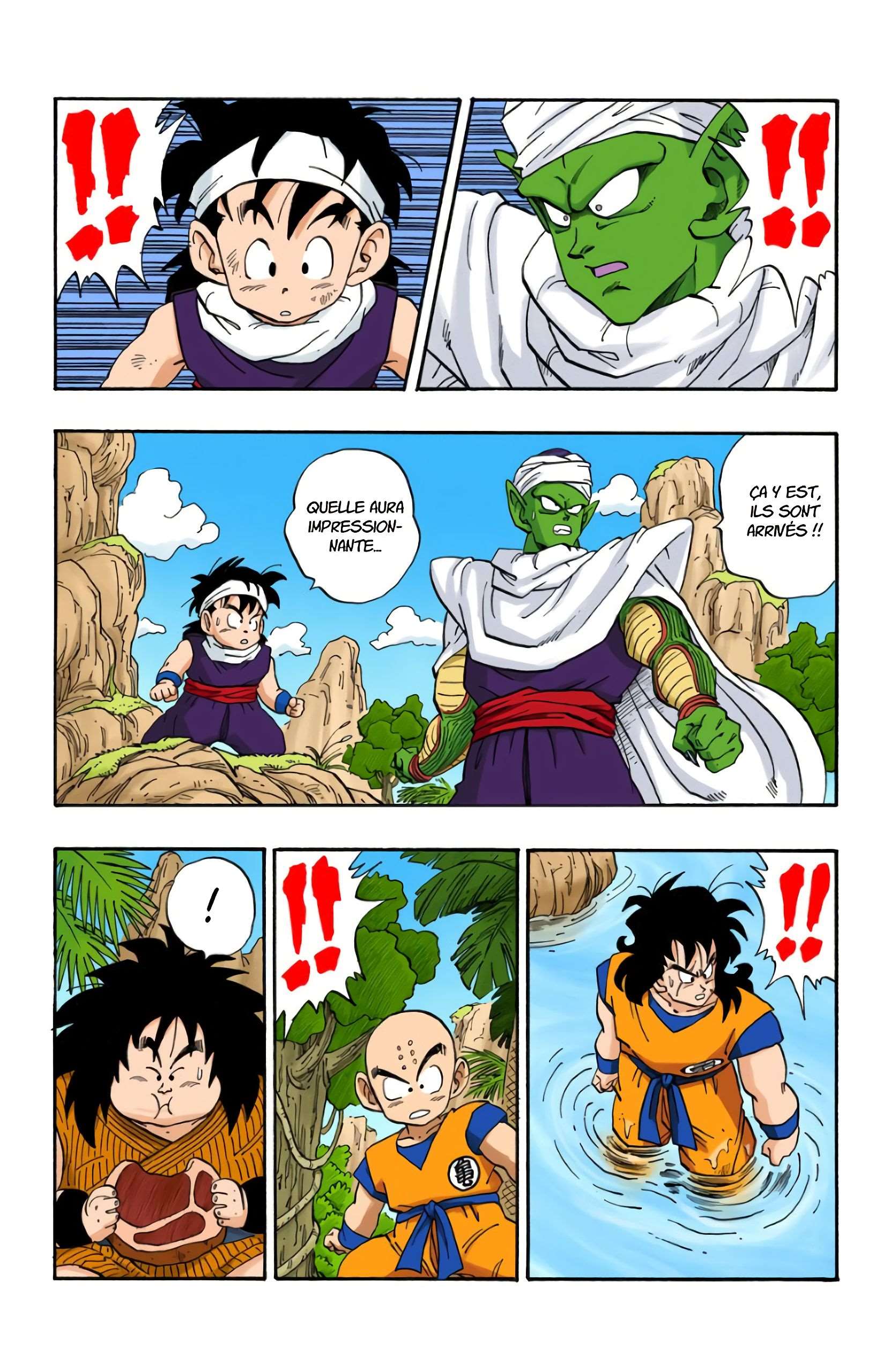 Chapitre 213 — Les Saïyens arrivent !! — page 4