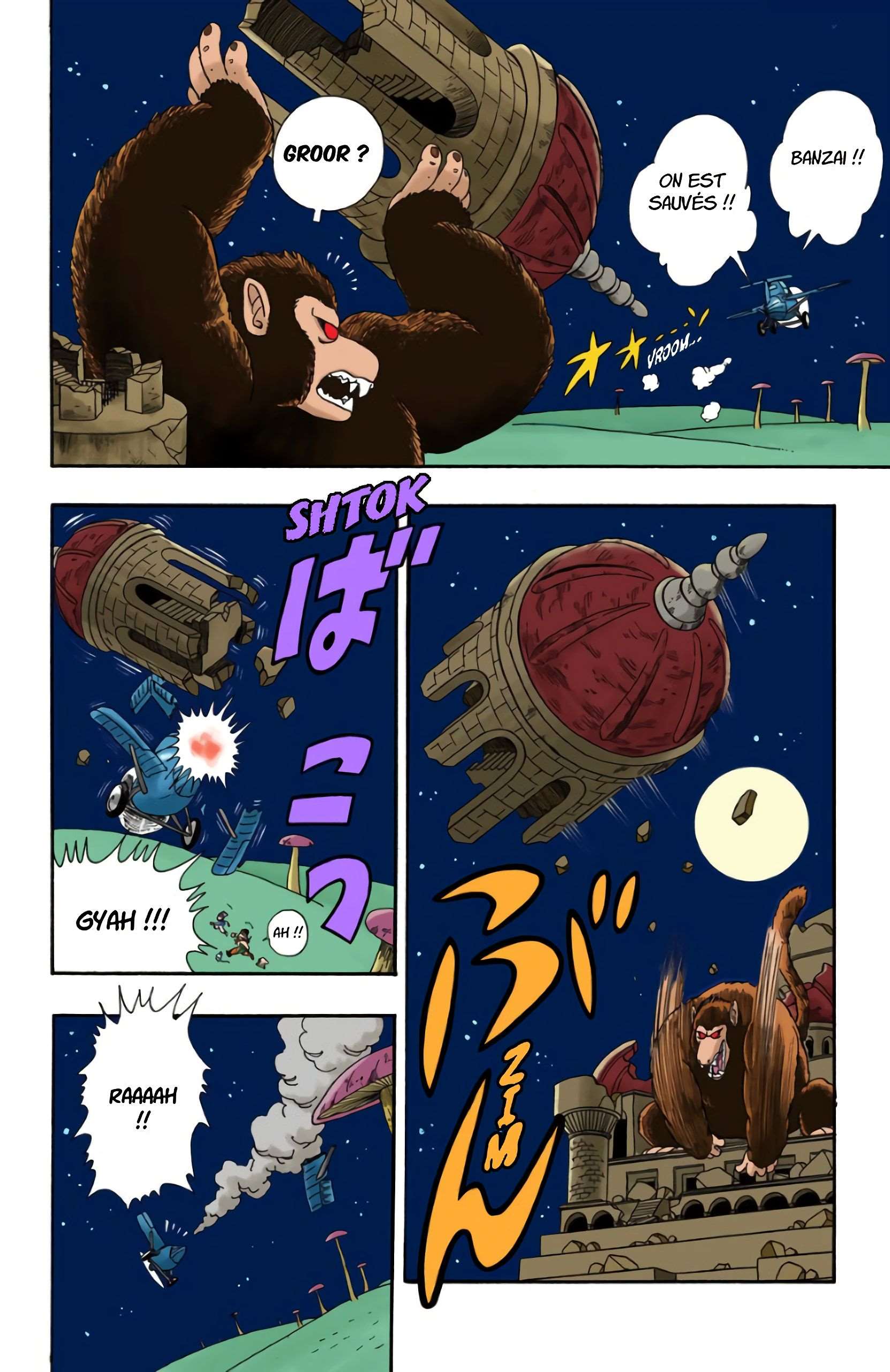Chapitre 22 — La transformation de Goku — page 8