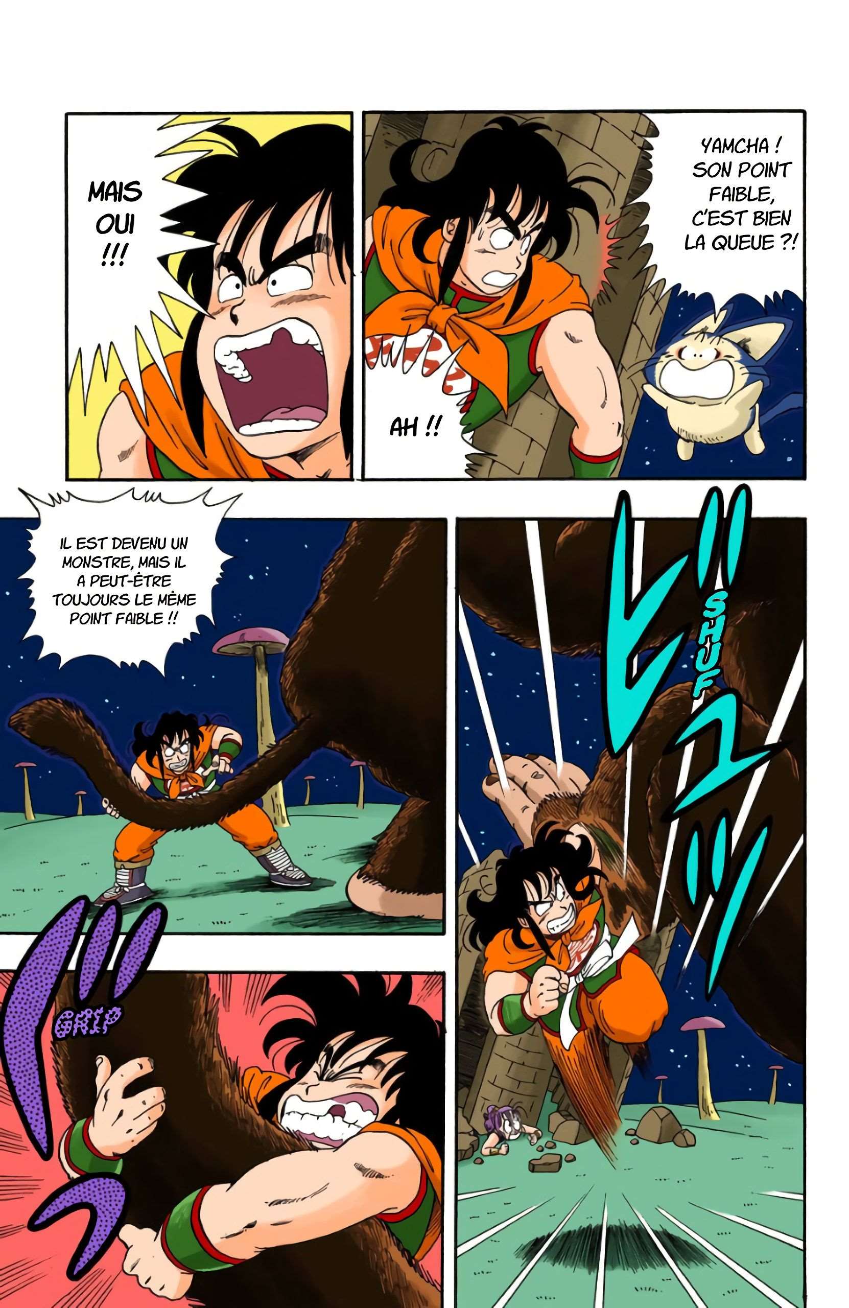 Chapitre 22 — La transformation de Goku — page 13