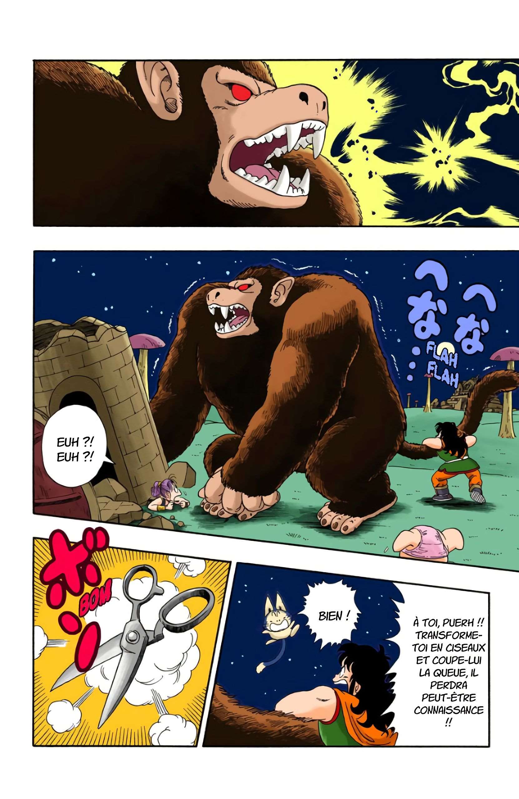 Chapitre 22 — La transformation de Goku — page 14