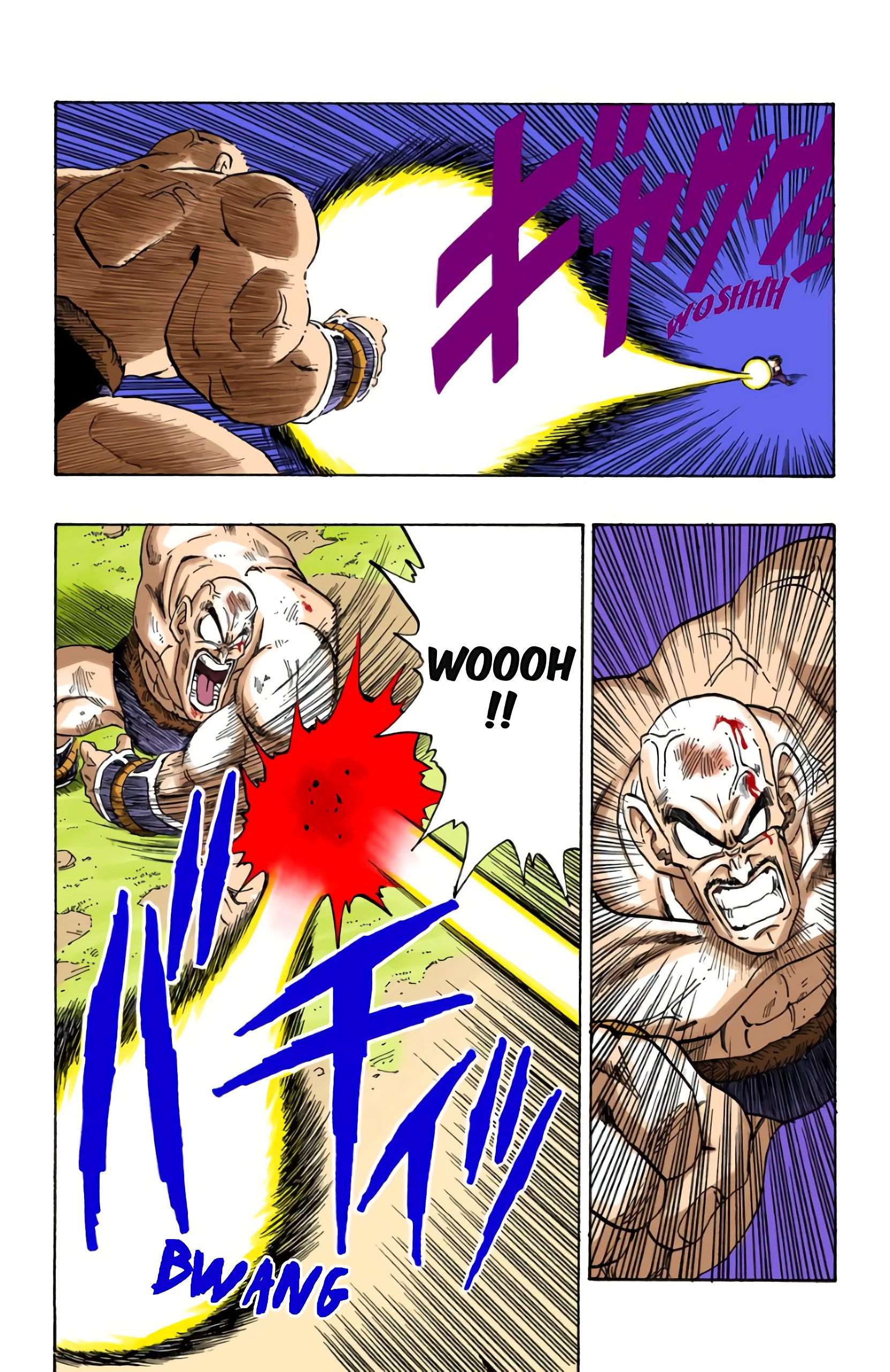 Chapitre 223 — Piccolo et Gohan — page 10