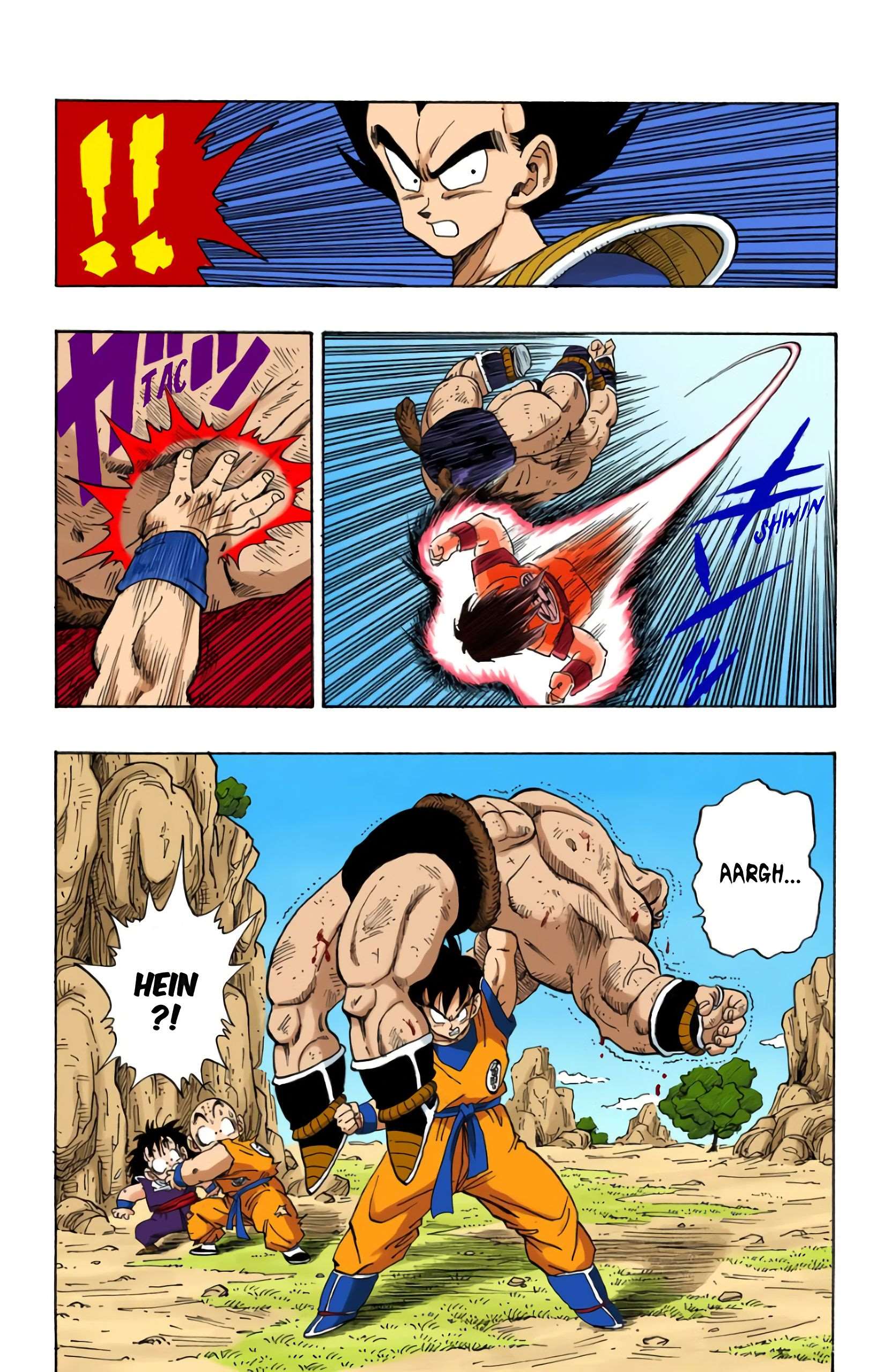 Chapitre 226 — Le mystère du Kaiô-Ken — page 14
