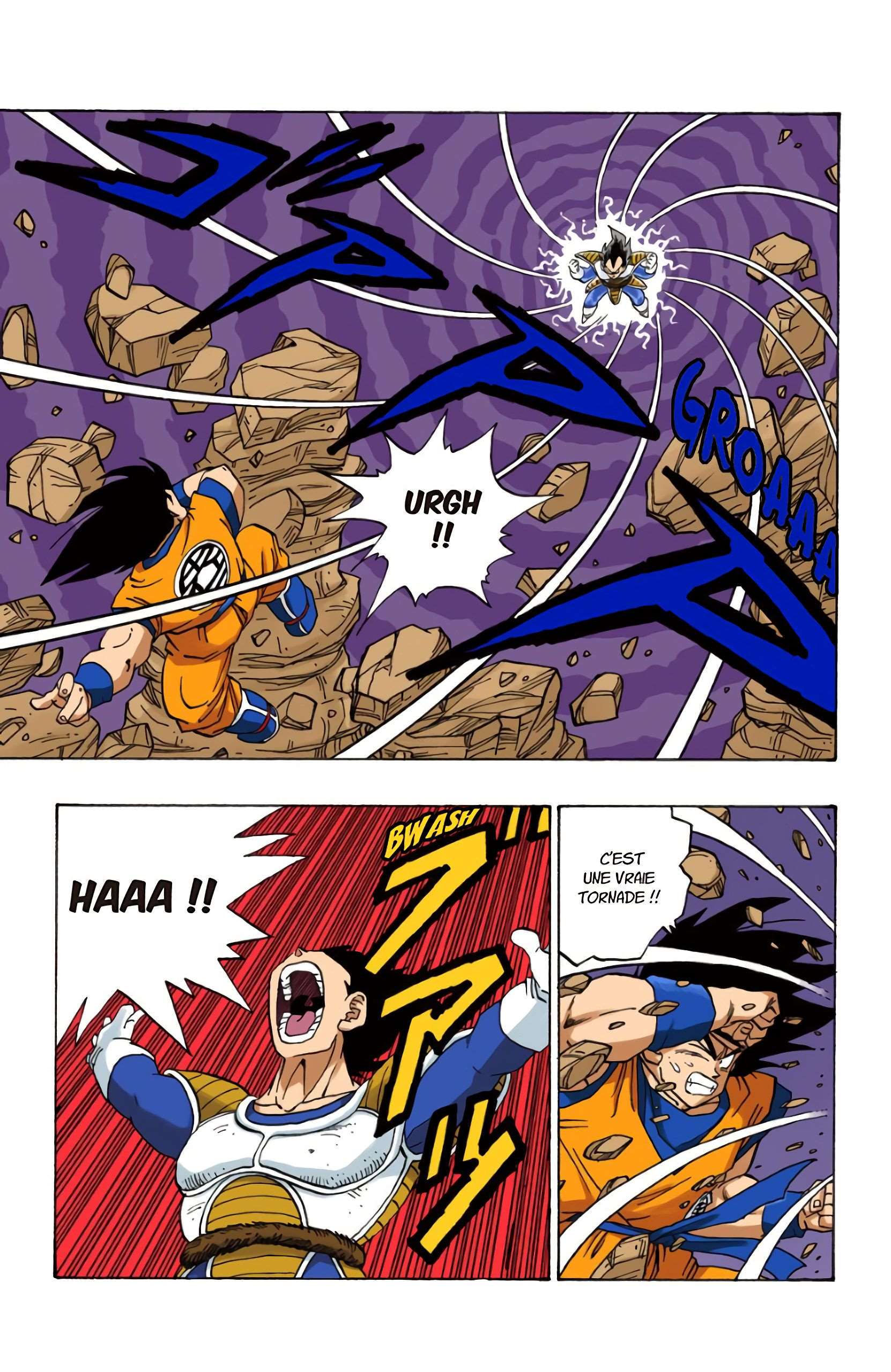 Chapitre 229 — Le combat décisif qui fait trembler la planète !! — page 5