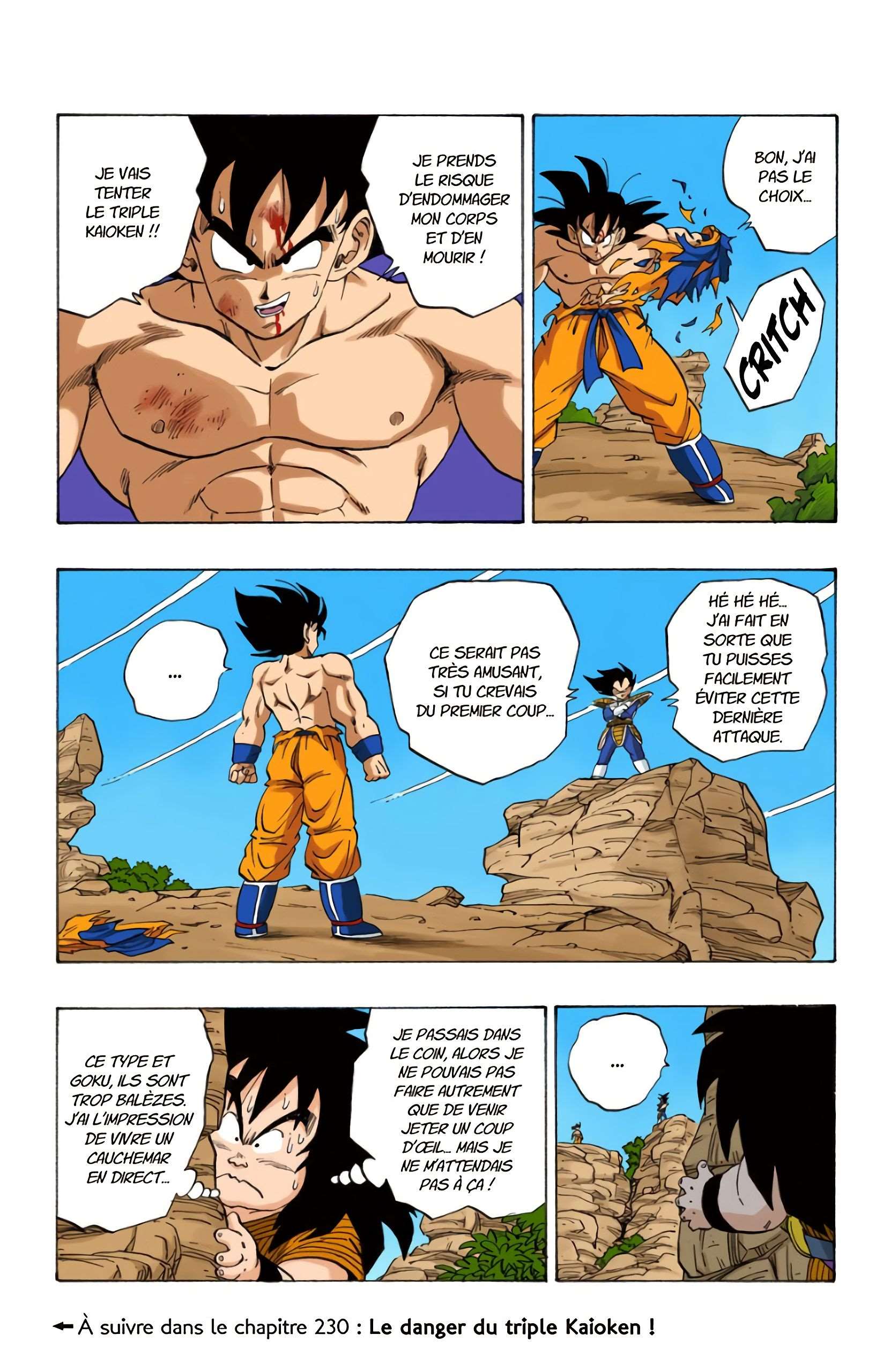 Chapitre 229 — Le combat décisif qui fait trembler la planète !! — page 15