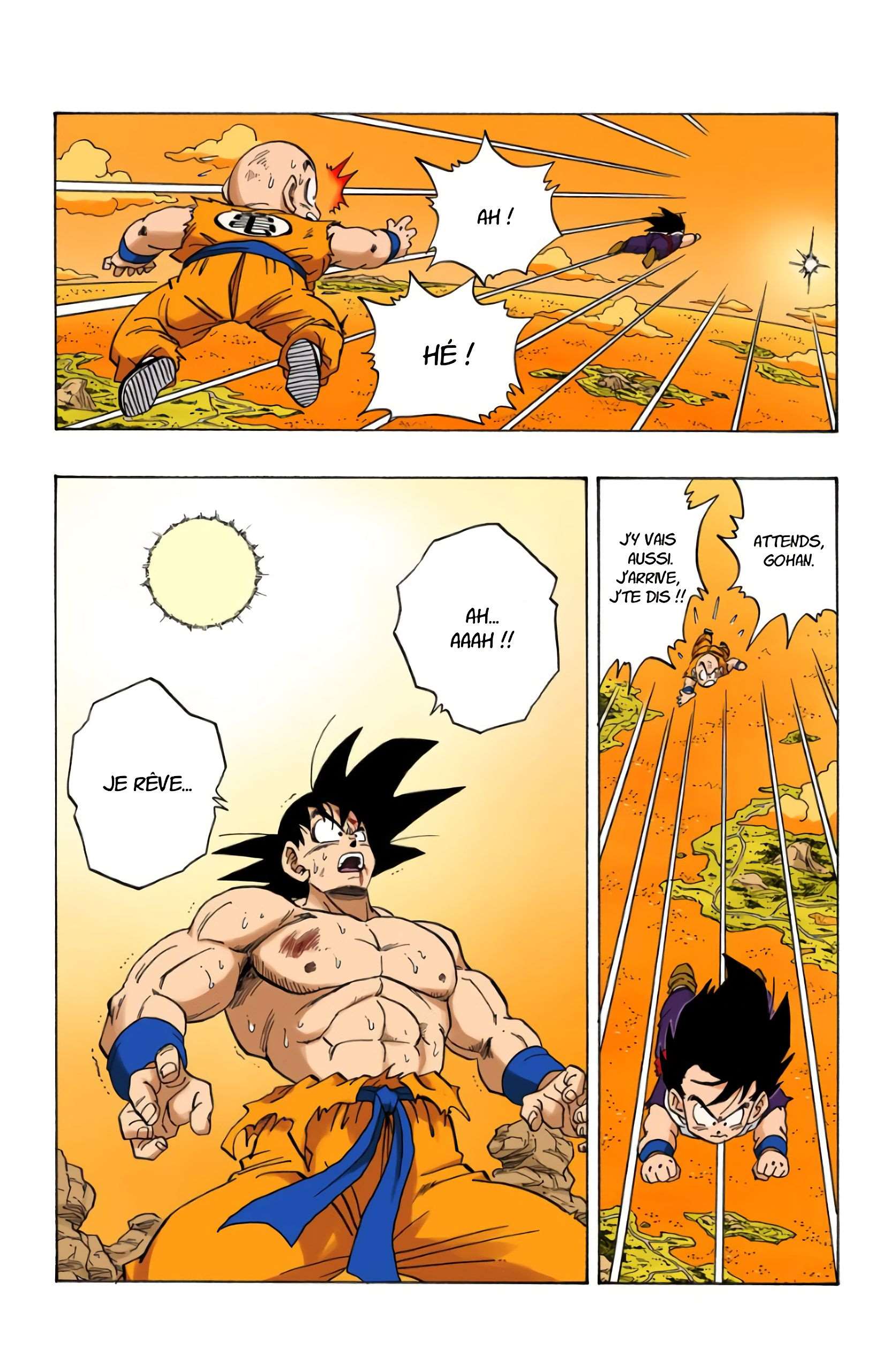 Chapitre 233 — Le Genki Dama ? Ou pas ?! — page 4