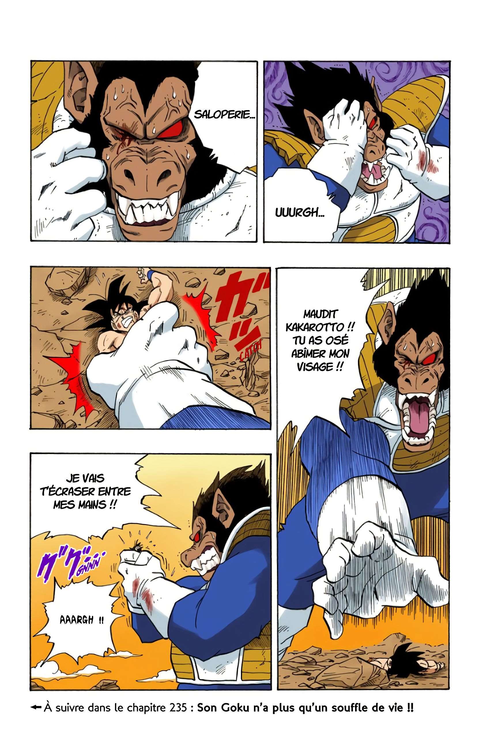 Chapitre 234 — Que va devenir le Genki Dama ?! — page 15