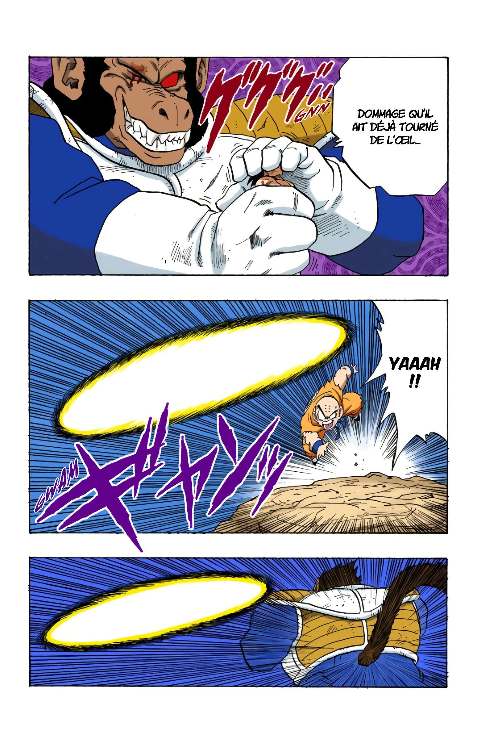 Chapitre 235 — Son Gokû n'a plus qu'un souffle de vie !! — page 10