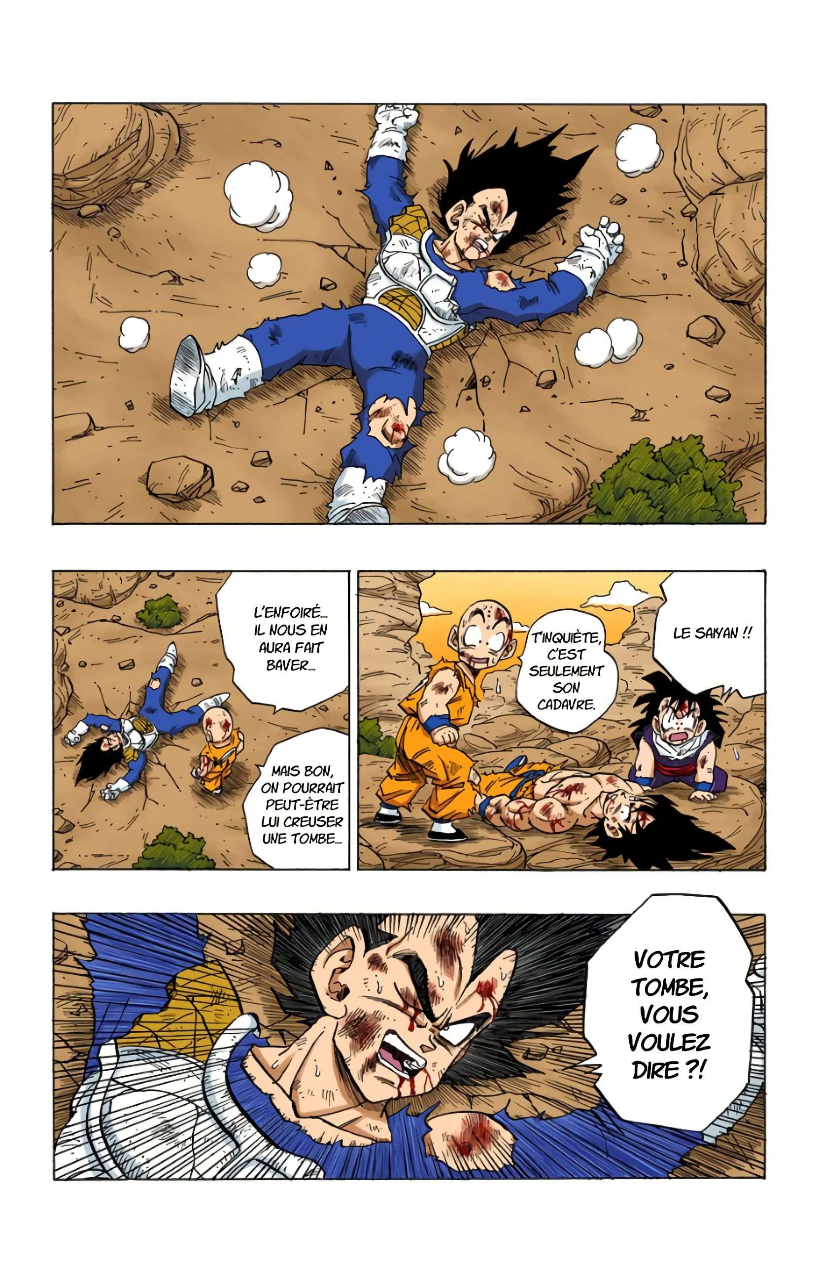 Chapitre 238 — Le devenir du Genki Dama !! — page 13