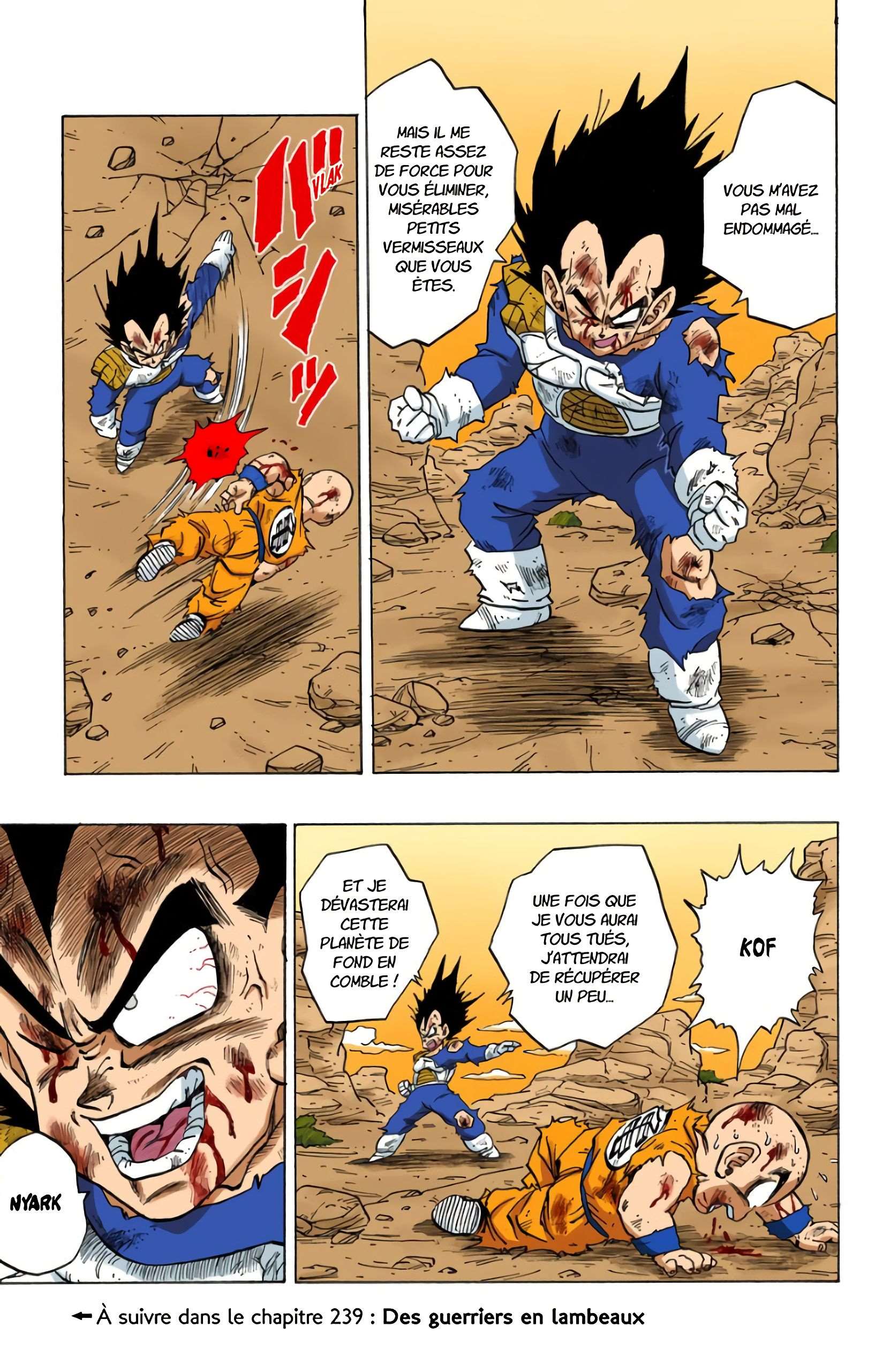 Chapitre 238 — Le devenir du Genki Dama !! — page 15