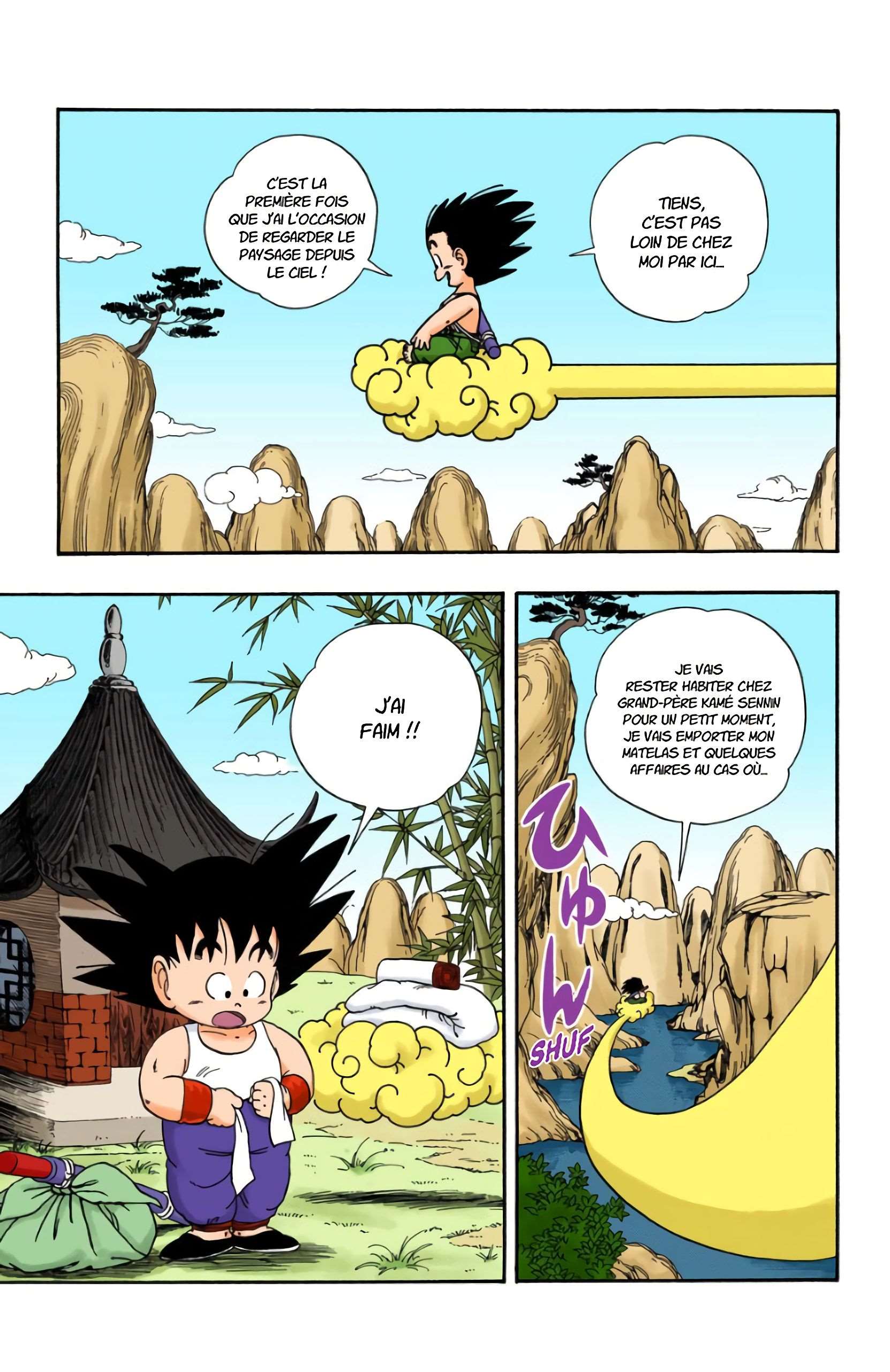 Chapitre 24 — L'entraînement de Kamé Sennin — page 3