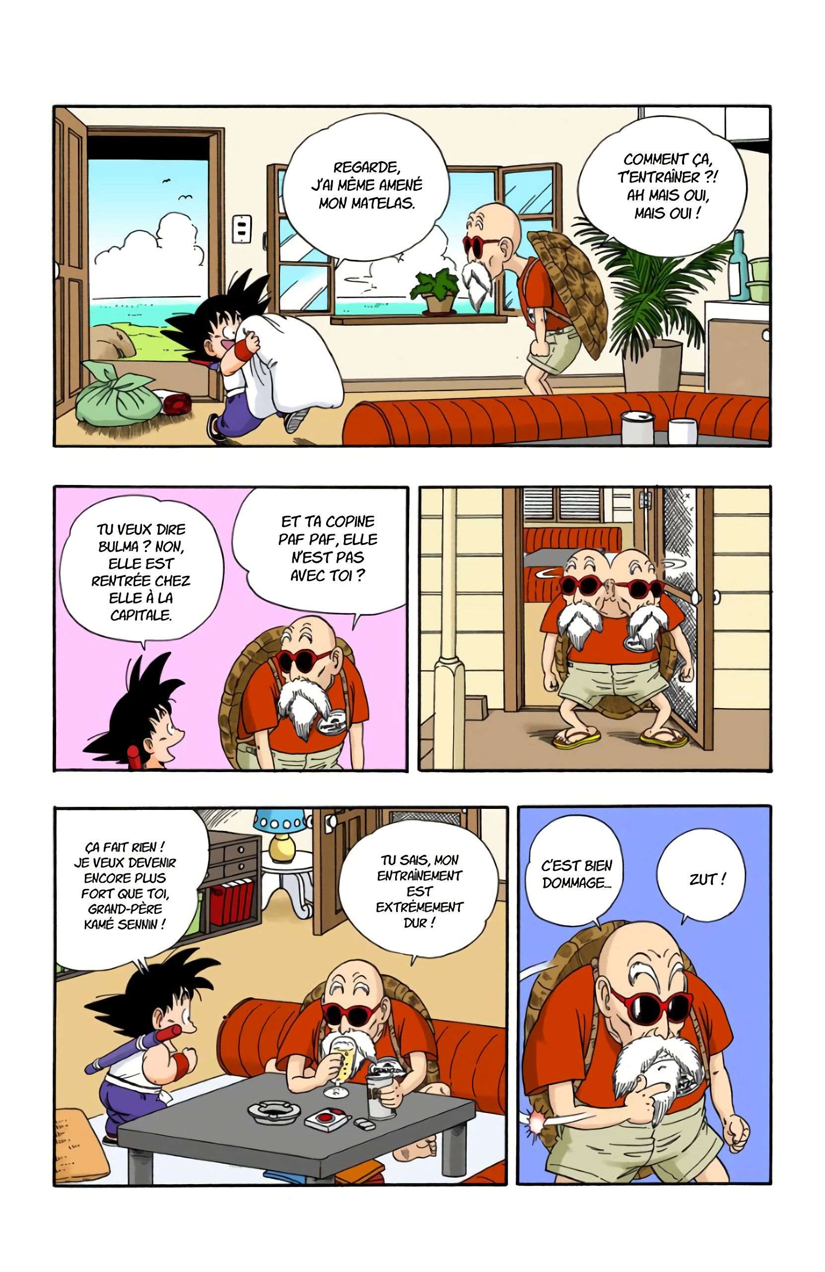 Chapitre 24 — L'entraînement de Kamé Sennin — page 10