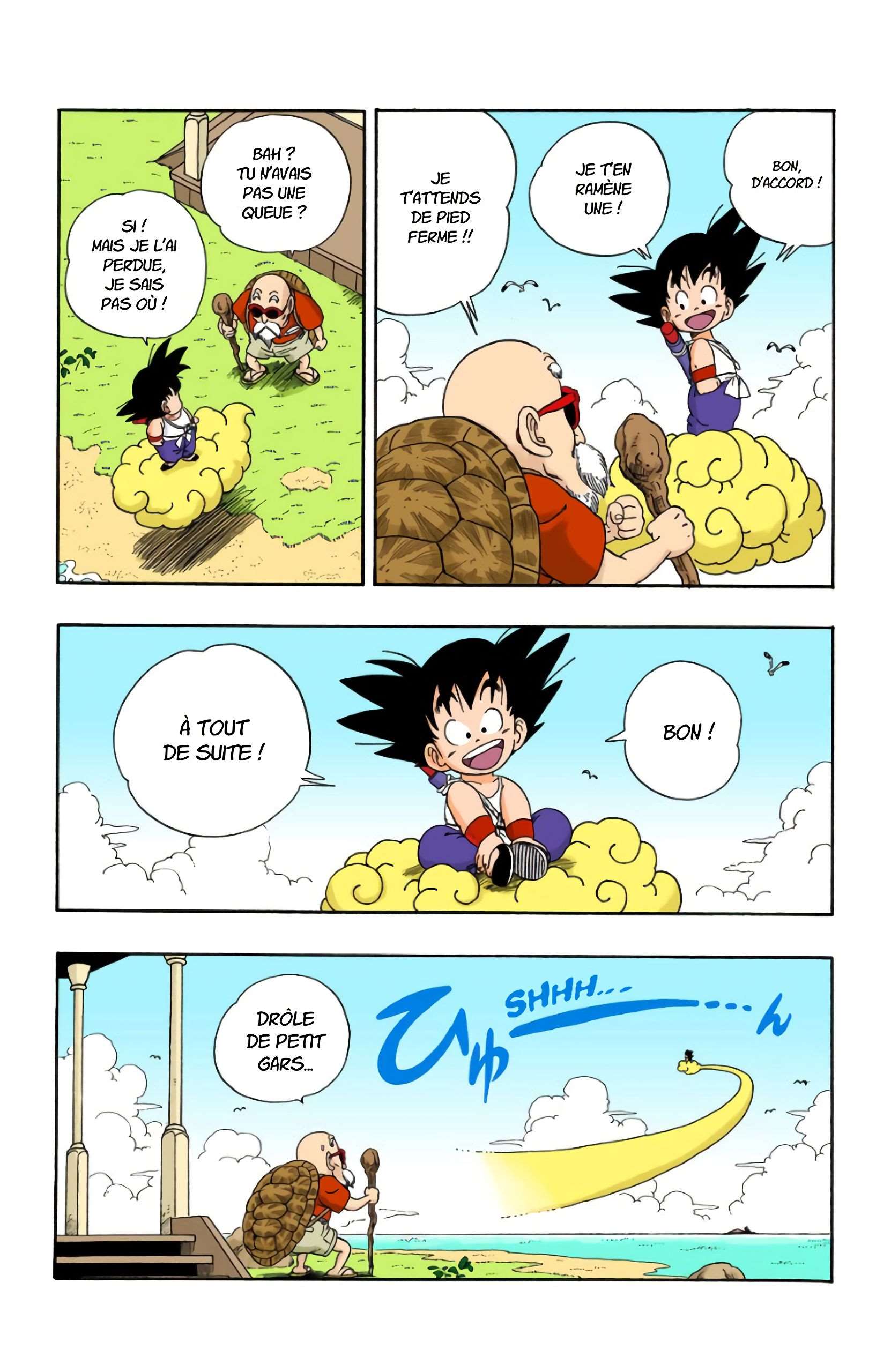 Chapitre 24 — L'entraînement de Kamé Sennin — page 13