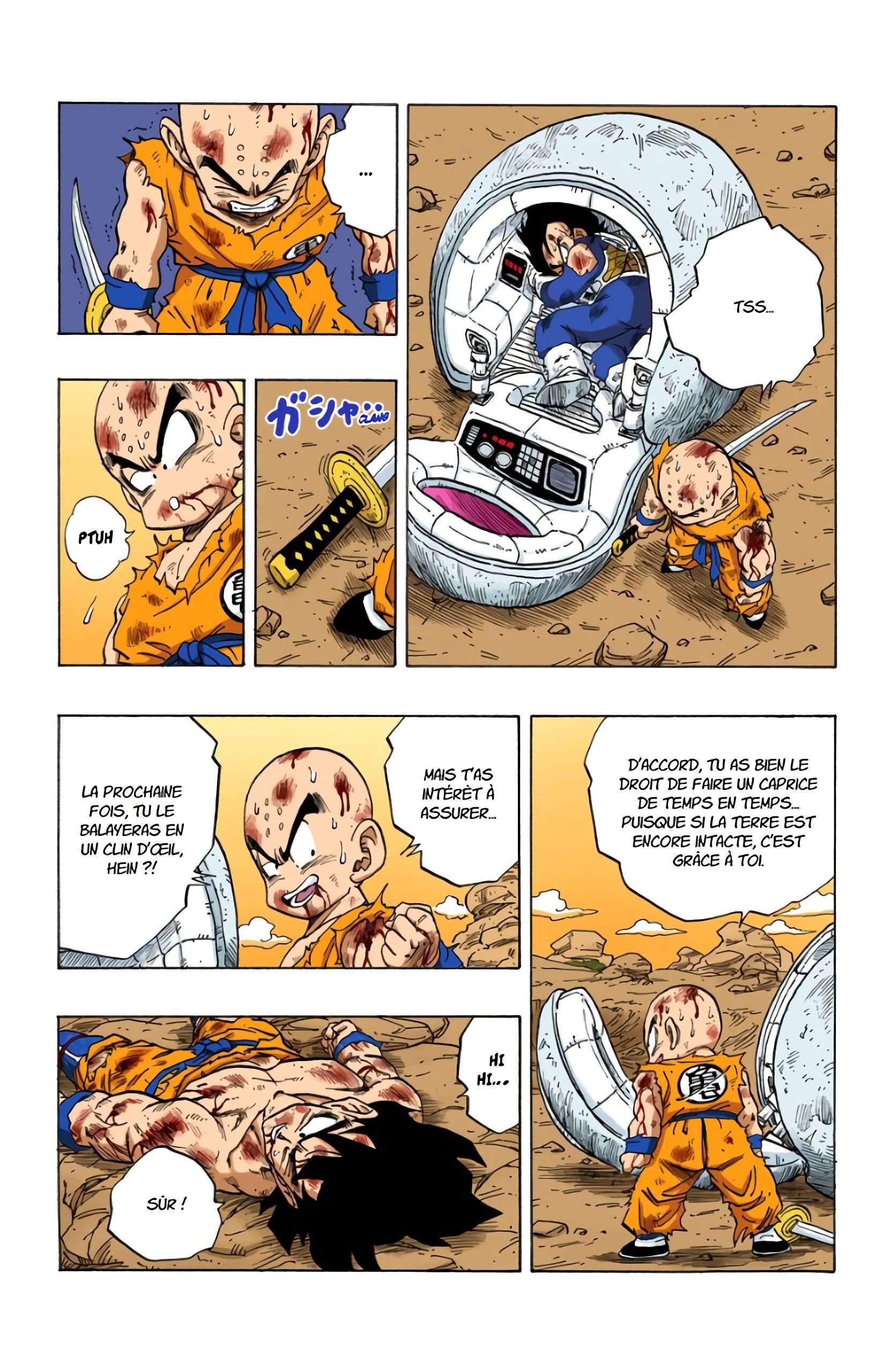 Chapitre 241 — La requête de Son Gokû — page 12