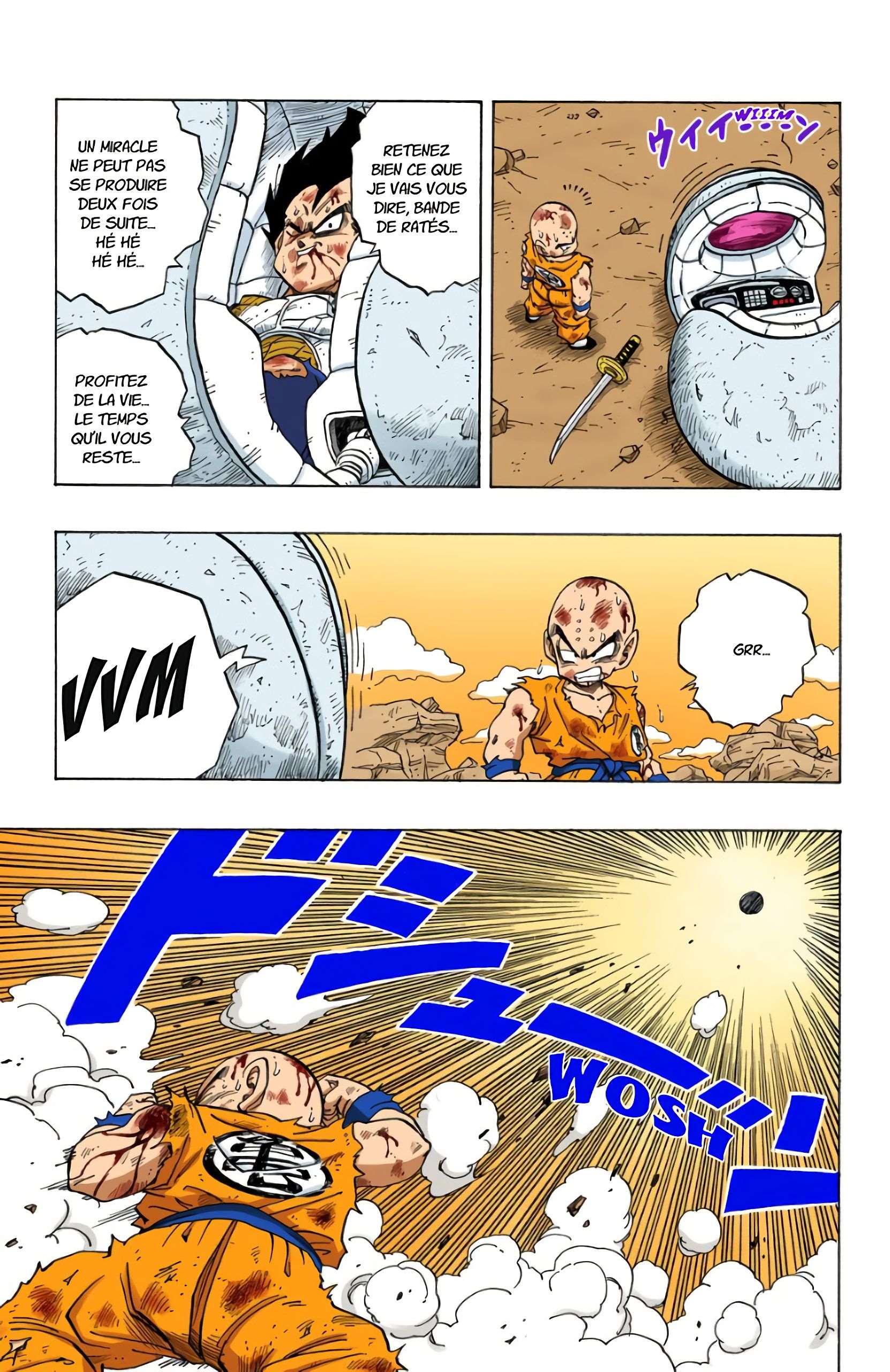 Chapitre 241 — La requête de Son Gokû — page 13