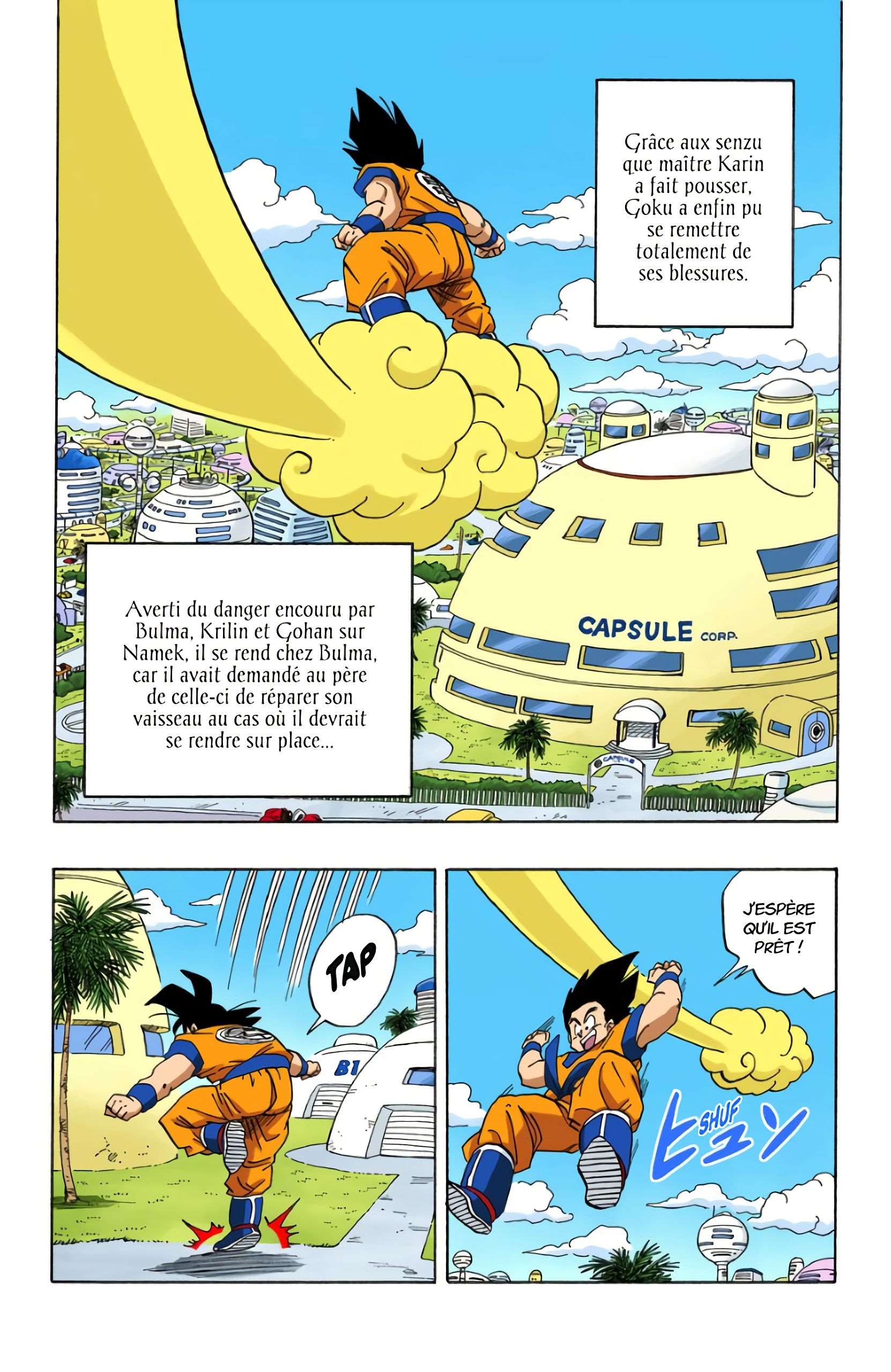 Chapitre 251 — Le vaisseau de Son Gokû — page 2