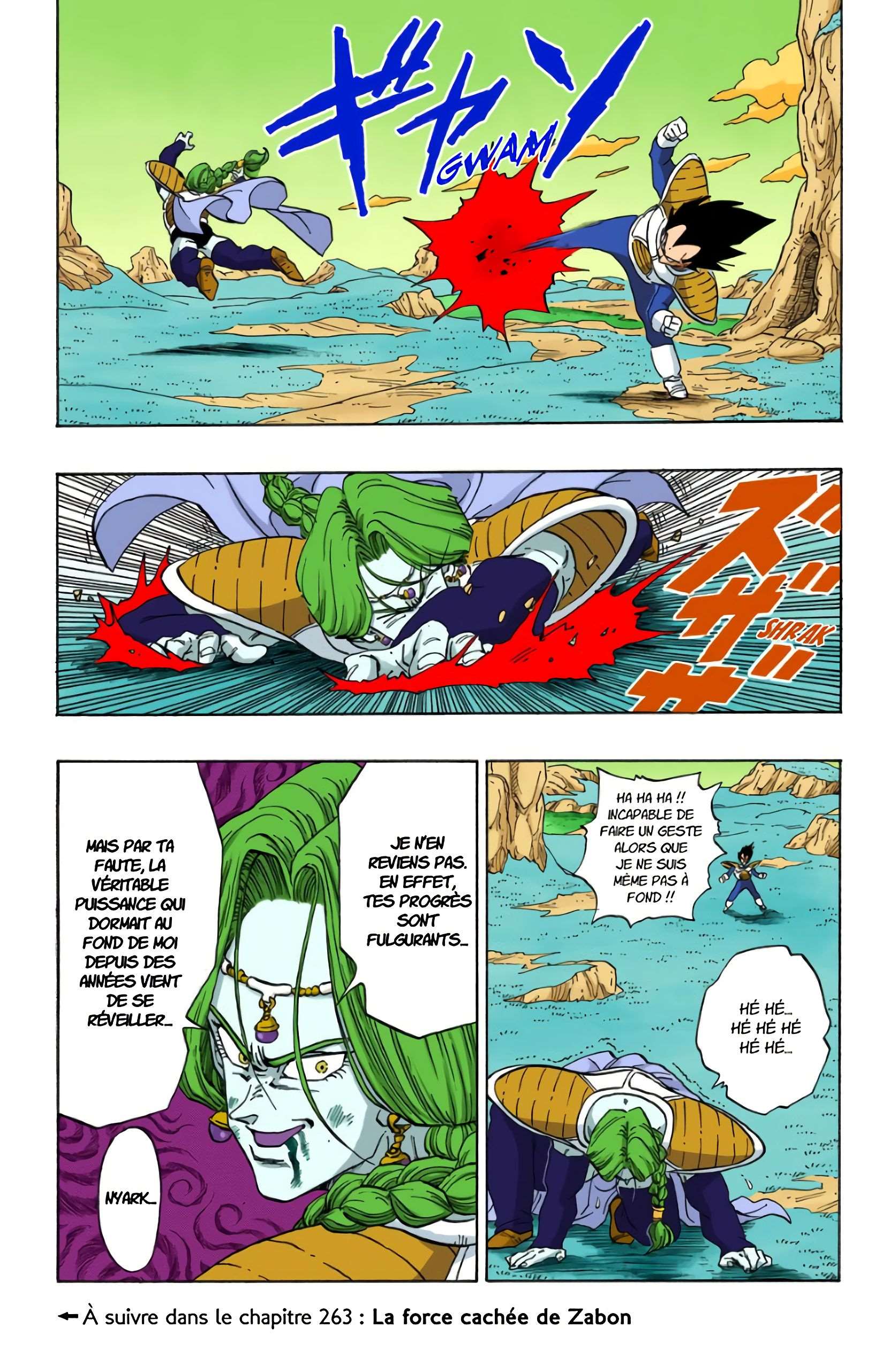 Chapitre 262 — Végéta et Zabon — page 15