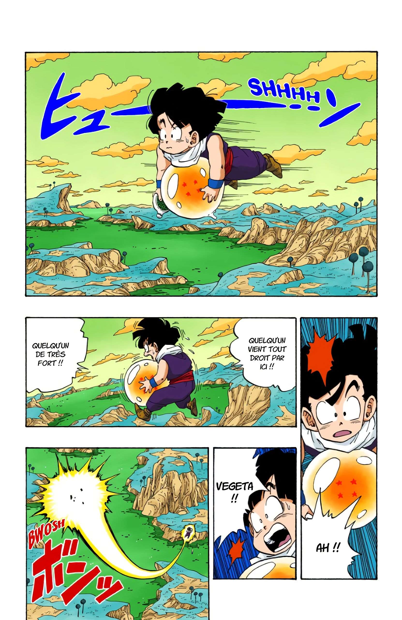 Chapitre 269 — Les Dragon Balls de Gohan et Végéta — page 3