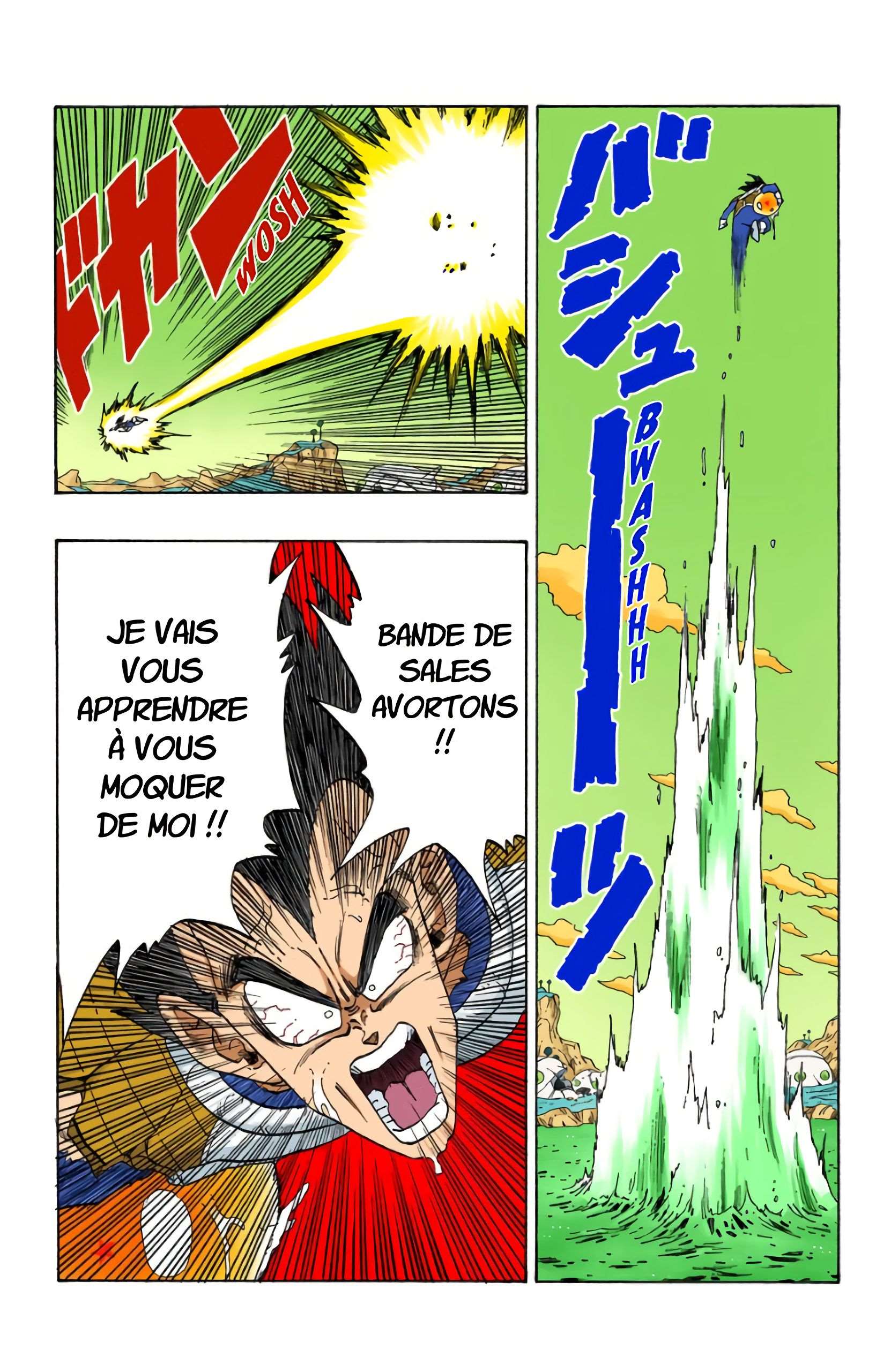 Chapitre 269 — Les Dragon Balls de Gohan et Végéta — page 12