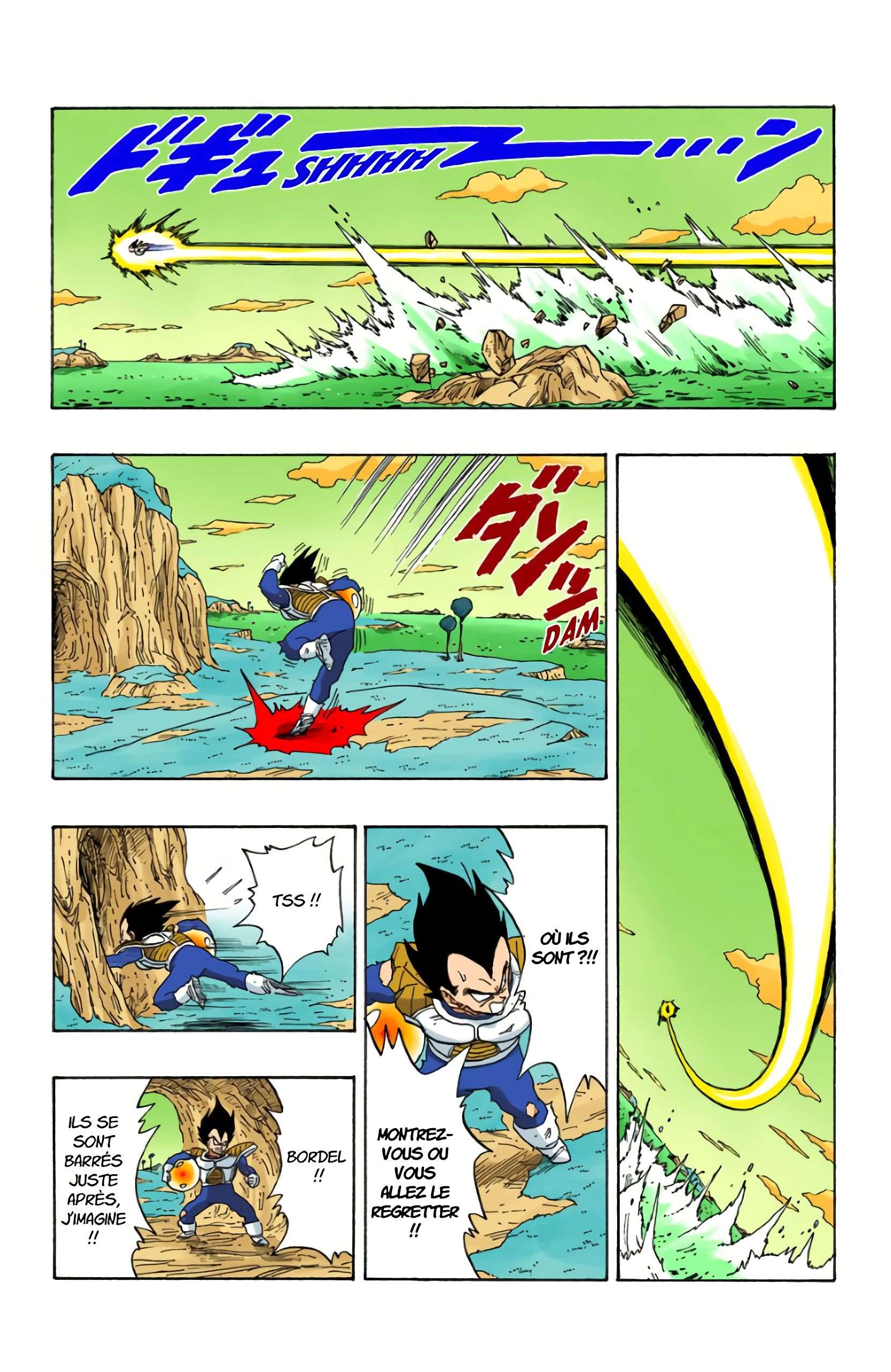 Chapitre 269 — Les Dragon Balls de Gohan et Végéta — page 13