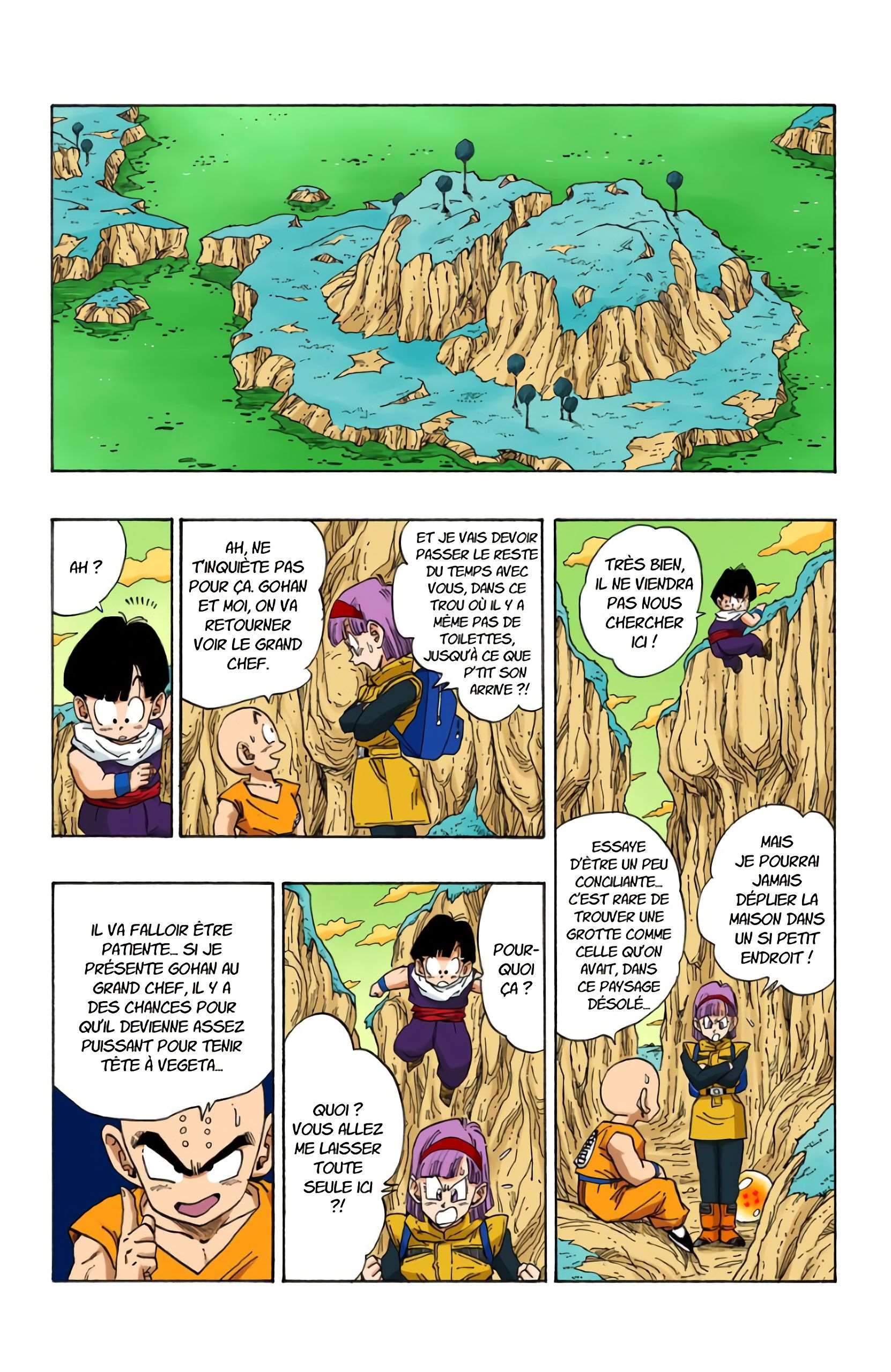 Chapitre 269 — Les Dragon Balls de Gohan et Végéta — page 15