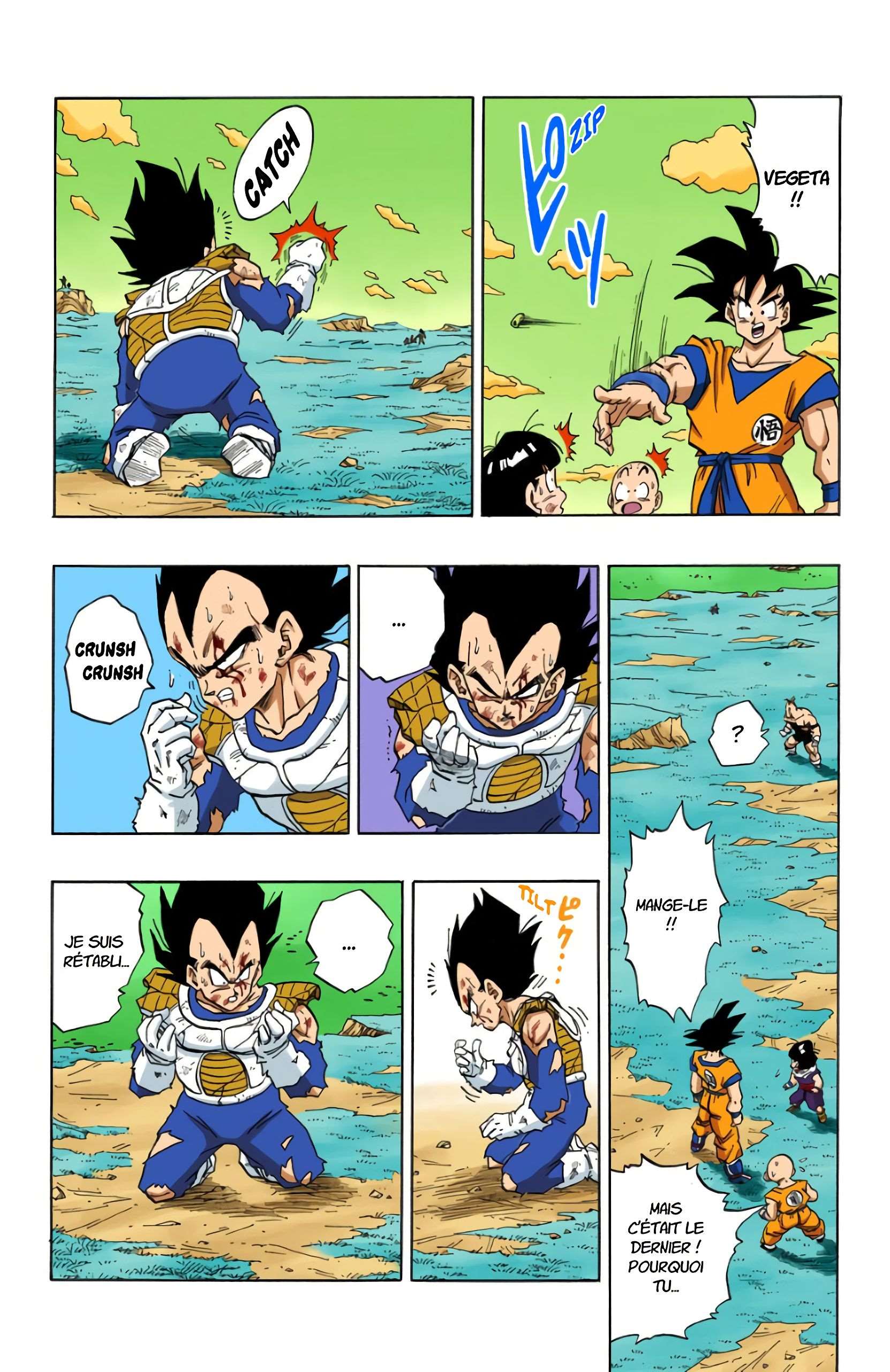 Chapitre 279 — Le mystérieux Son Gokû — page 12