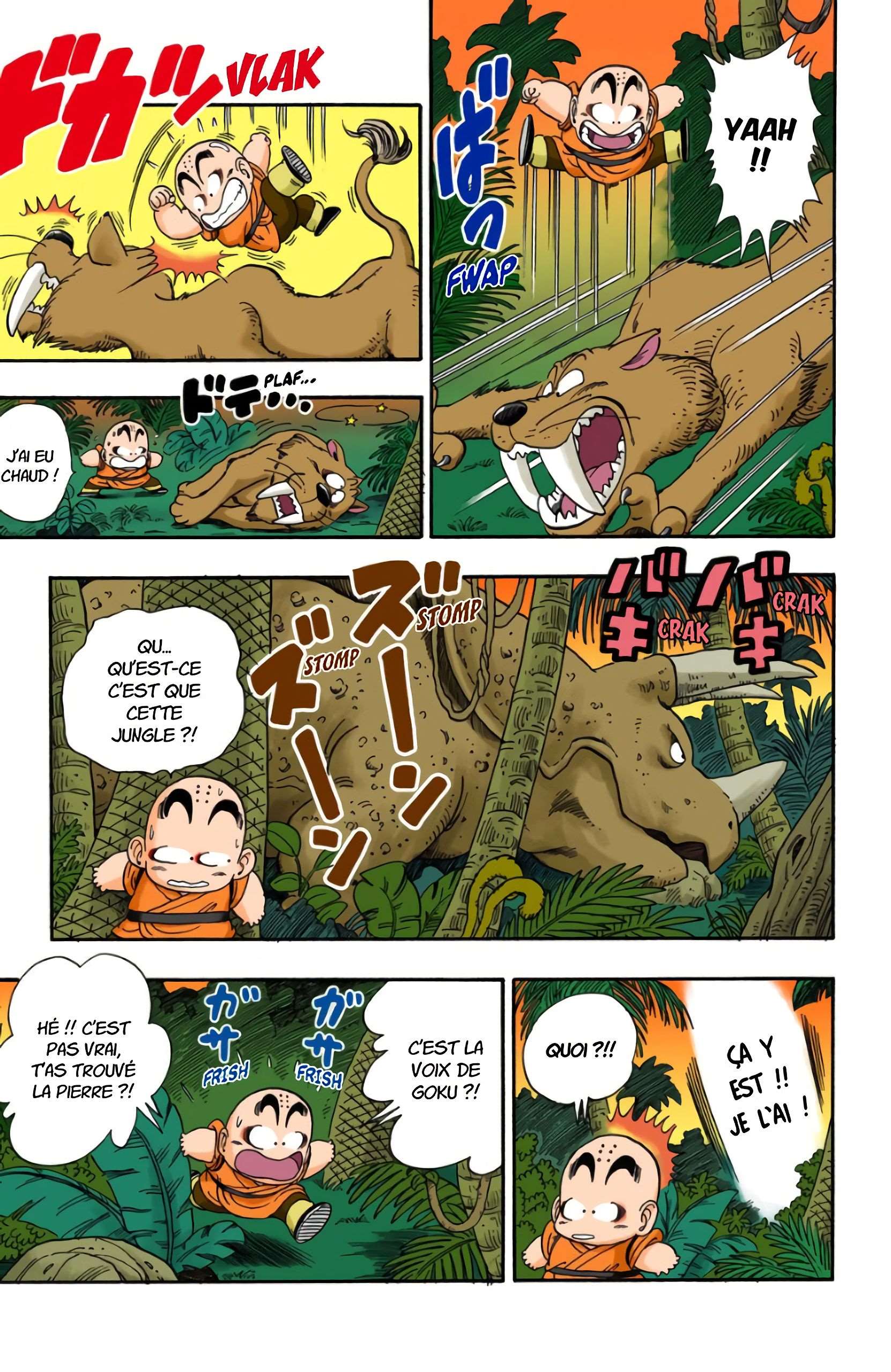 Chapitre 29 — À la recherche de la pierre "tortue — page 11