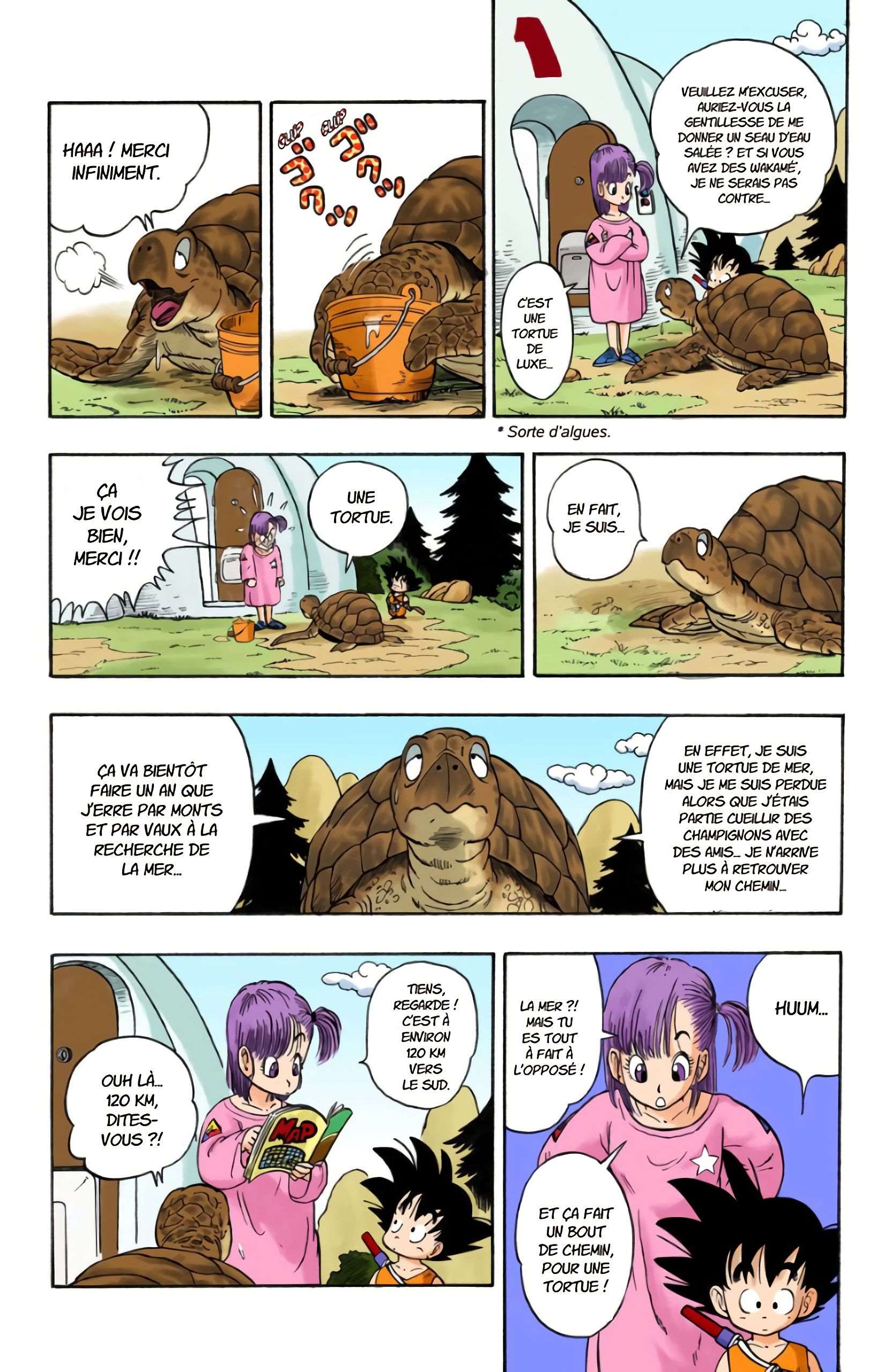 Chapitre 3 — Goku va à la mer — page 6