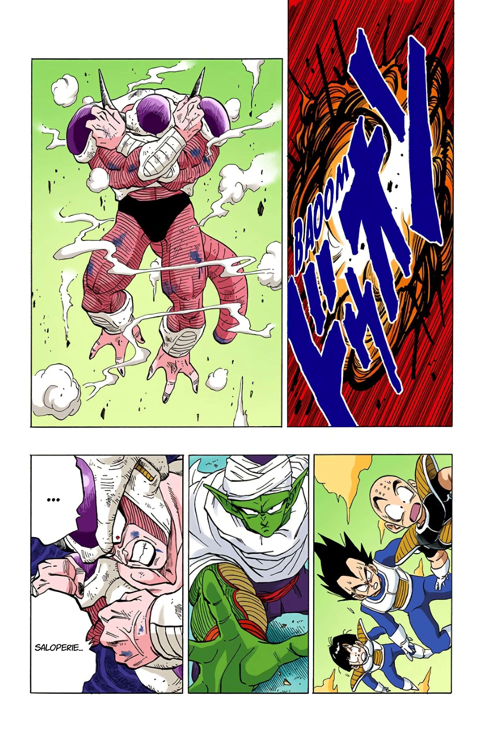 Chapitre 300 — La confiance de Piccolo — page 15