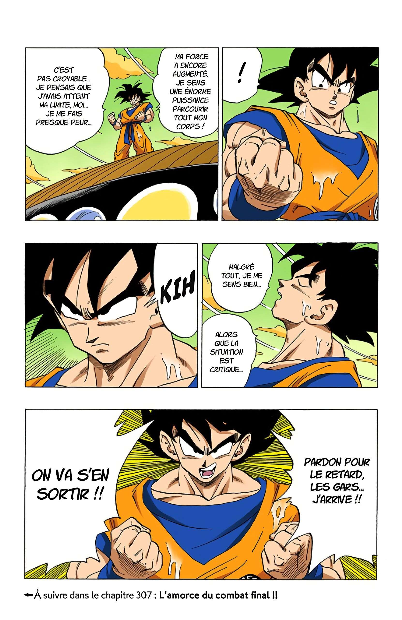 Chapitre 306 — Son Gokû… le retour !! — page 15