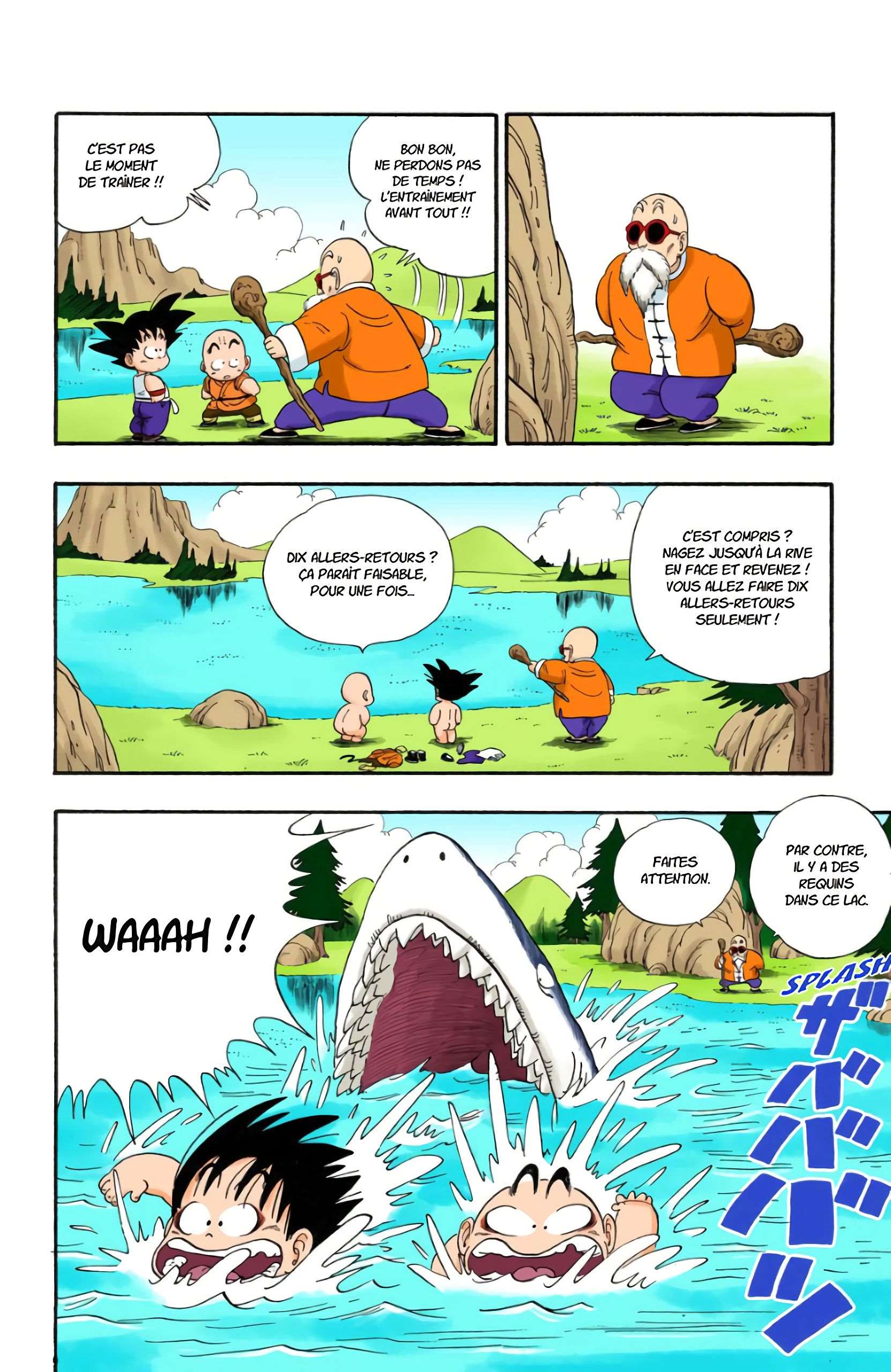 Chapitre 31 — Le rude entraînement de Kamé Sennin — page 12