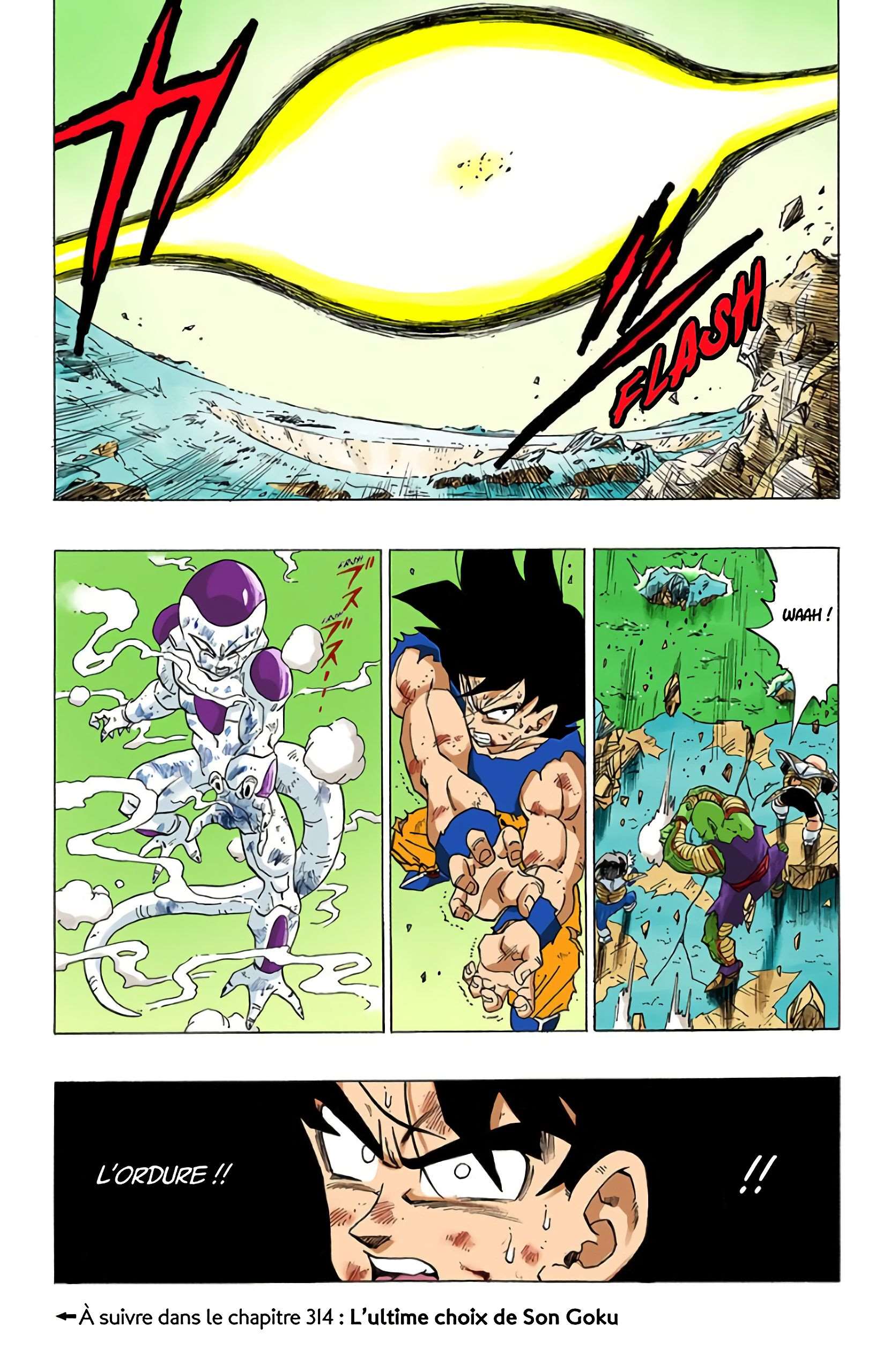Chapitre 313 — Tout miser sur le Kaiô-Ken niveau 20 — page 15