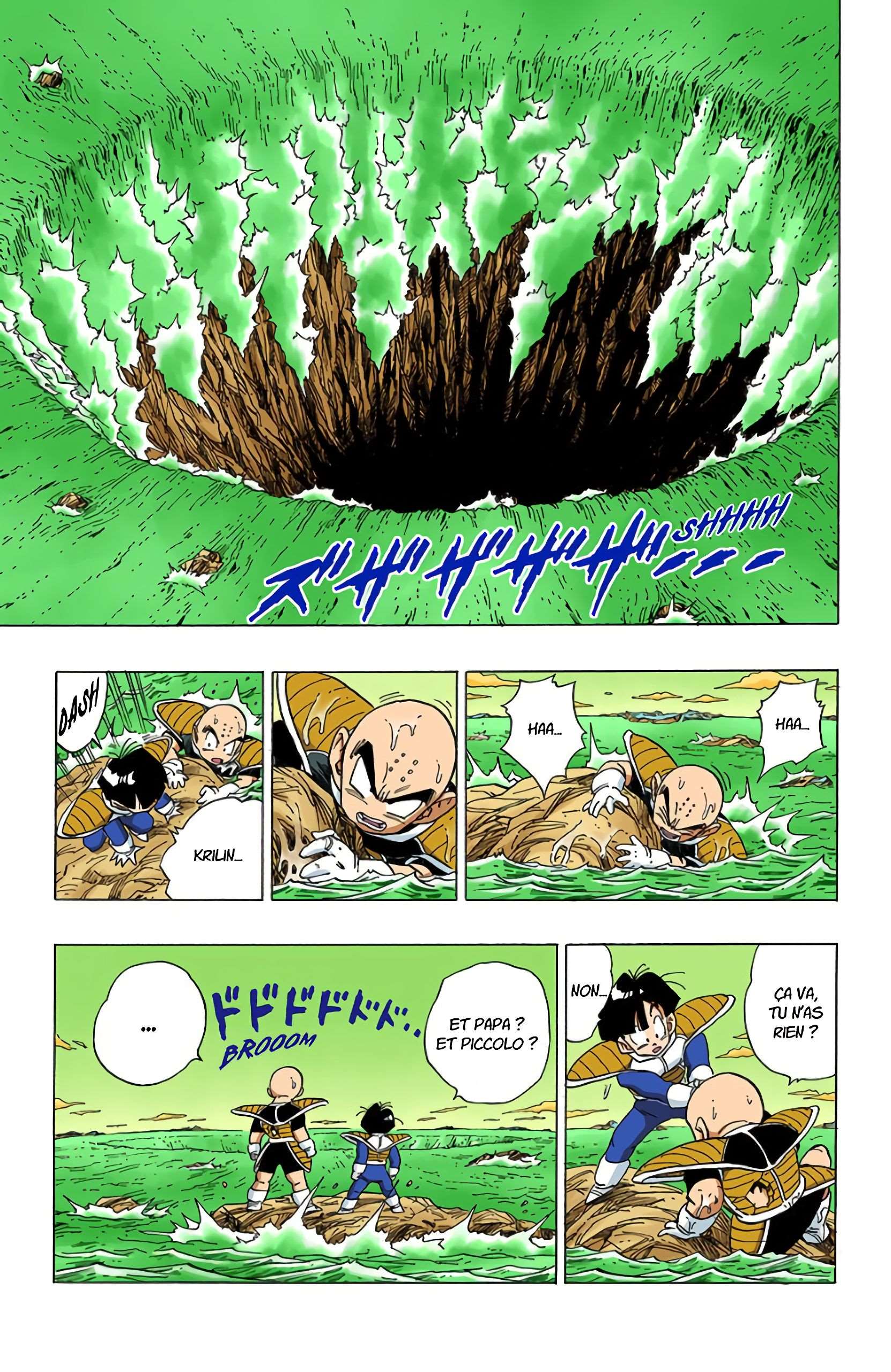 Chapitre 316 — Que toute la rancune de l'univers transperce Freezer !! — page 13