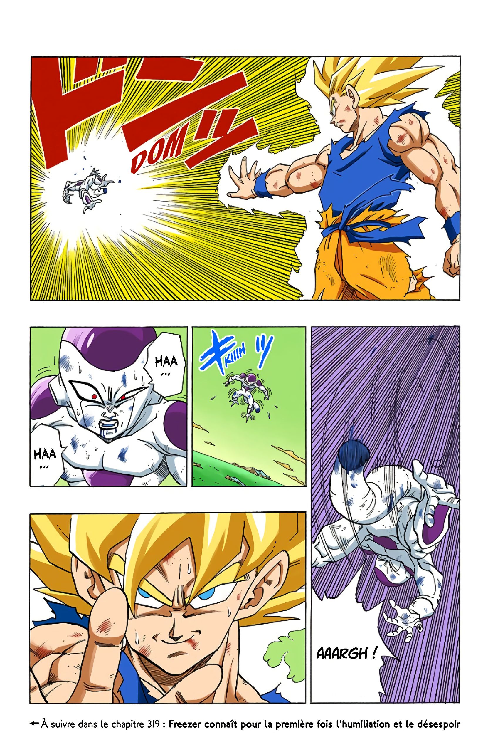 Chapitre 318 — Le Super Saïyen de la légende — page 17