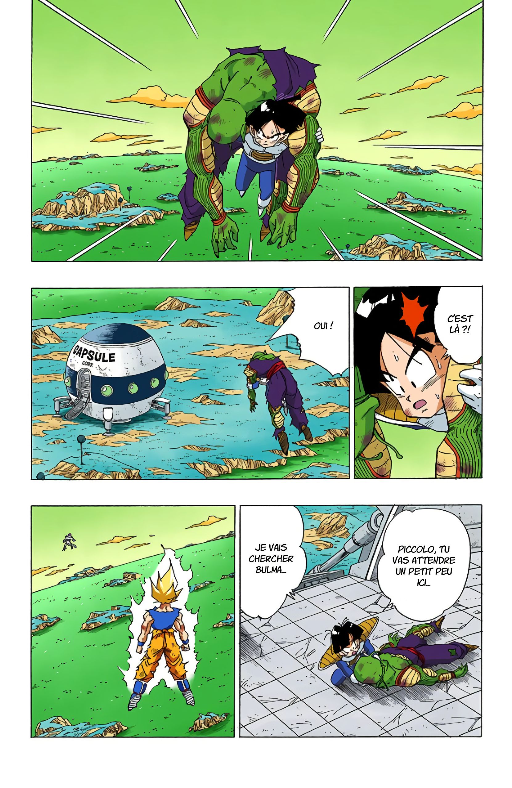 Chapitre 319 — Freezer connaît pour la première fois l'humiliation et le désespoir — page 13