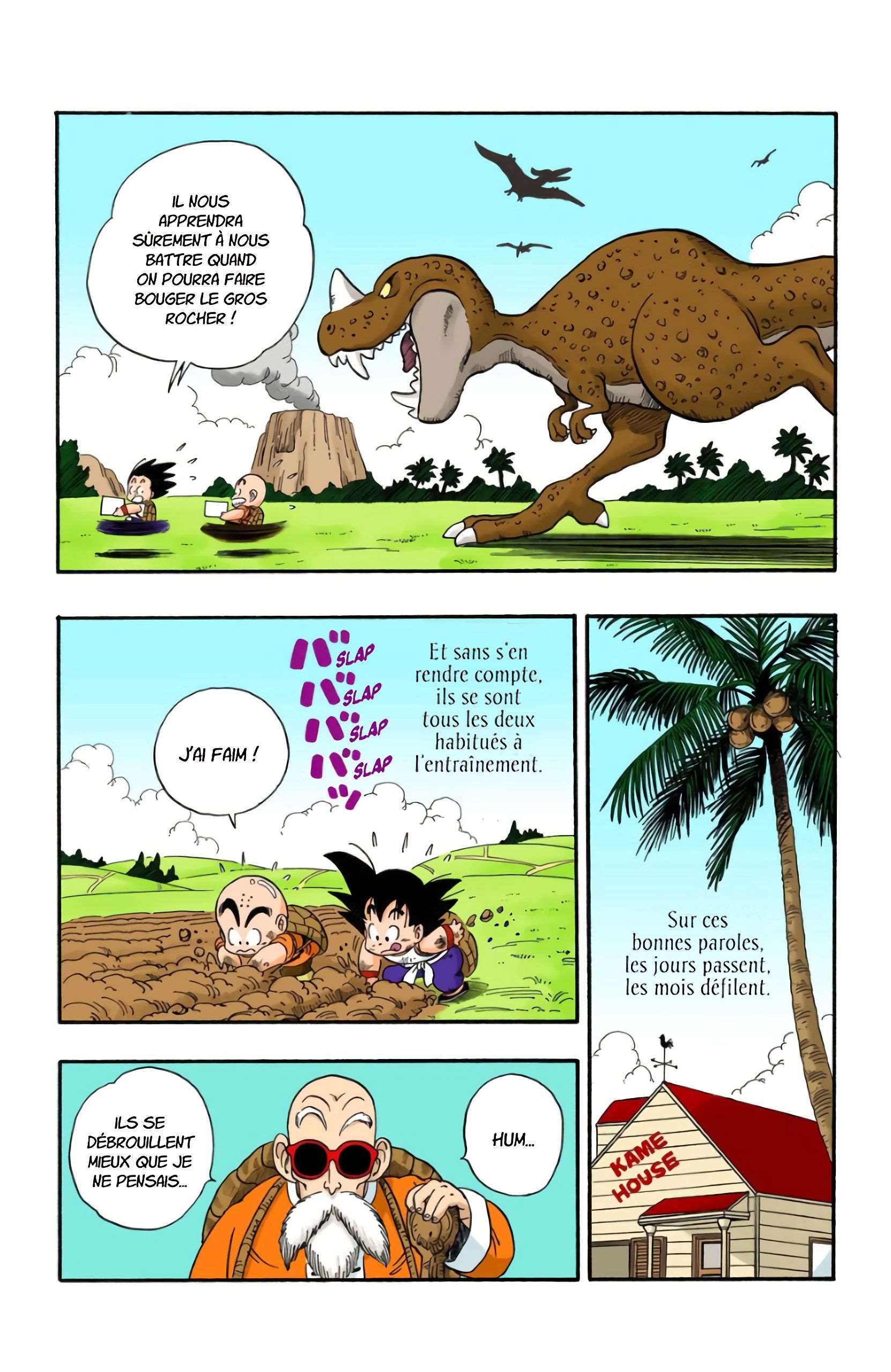 Chapitre 32 — Le début du Tenkaichi Budokai !! — page 3