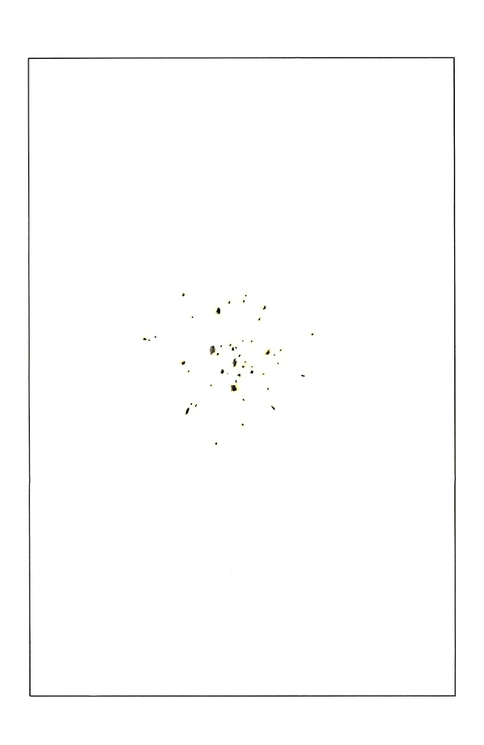 Chapitre 328 — La planète Namek s'éteint — page 10