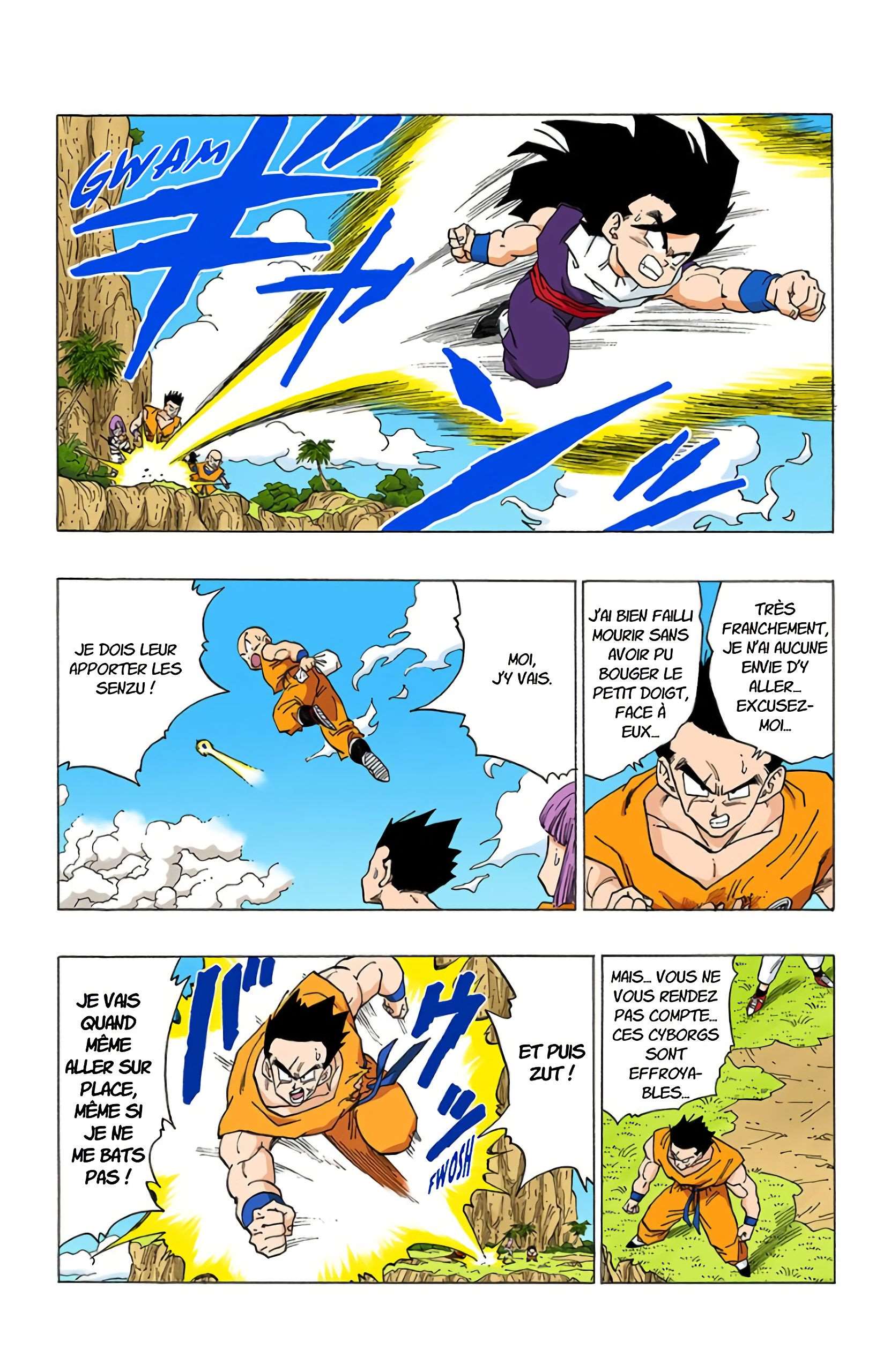 Chapitre 340 — La rancune de l'armée du Red Ribon envers Son Gokû — page 4