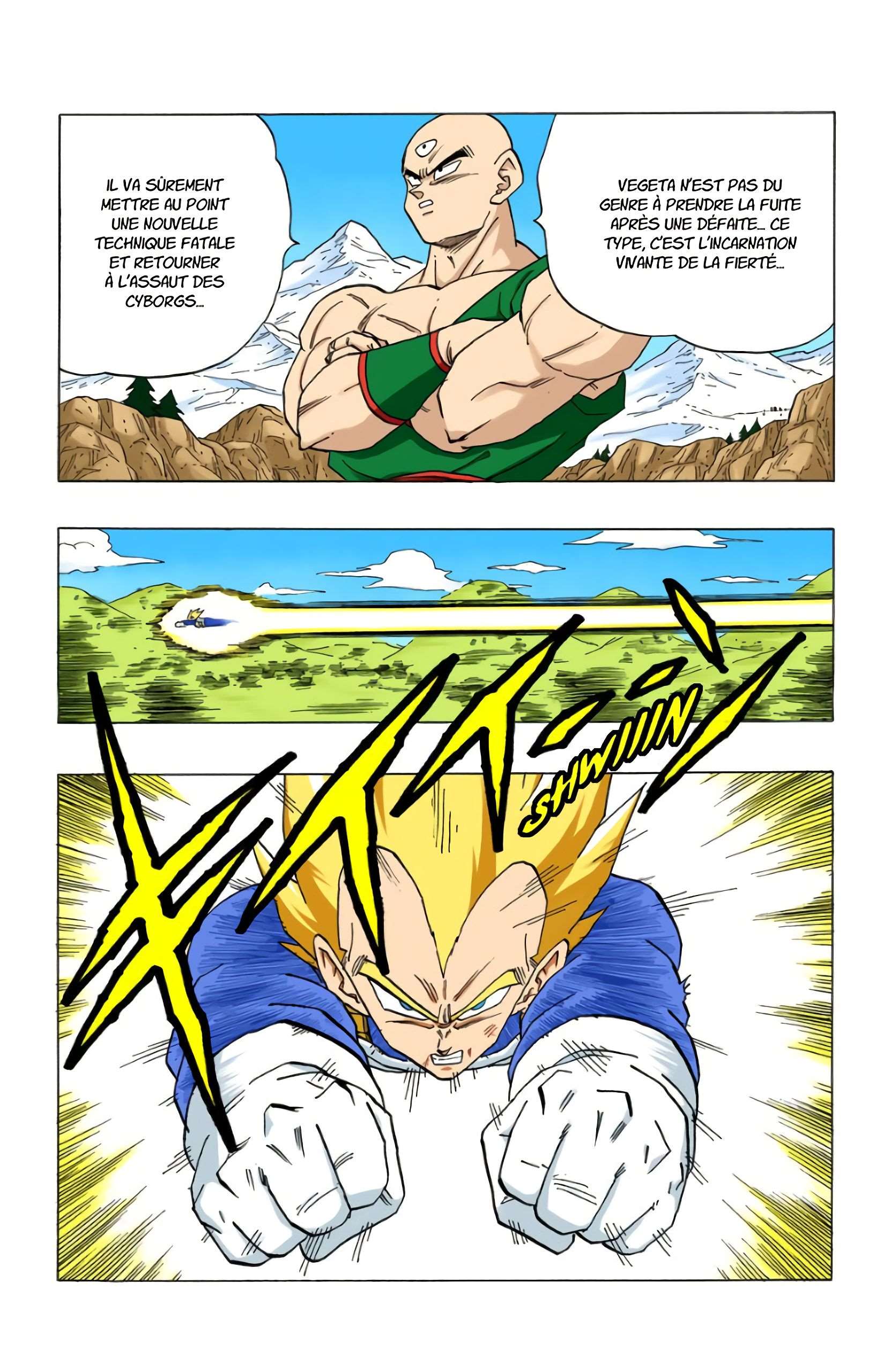 Chapitre 355 — La décision de Piccolo — page 14