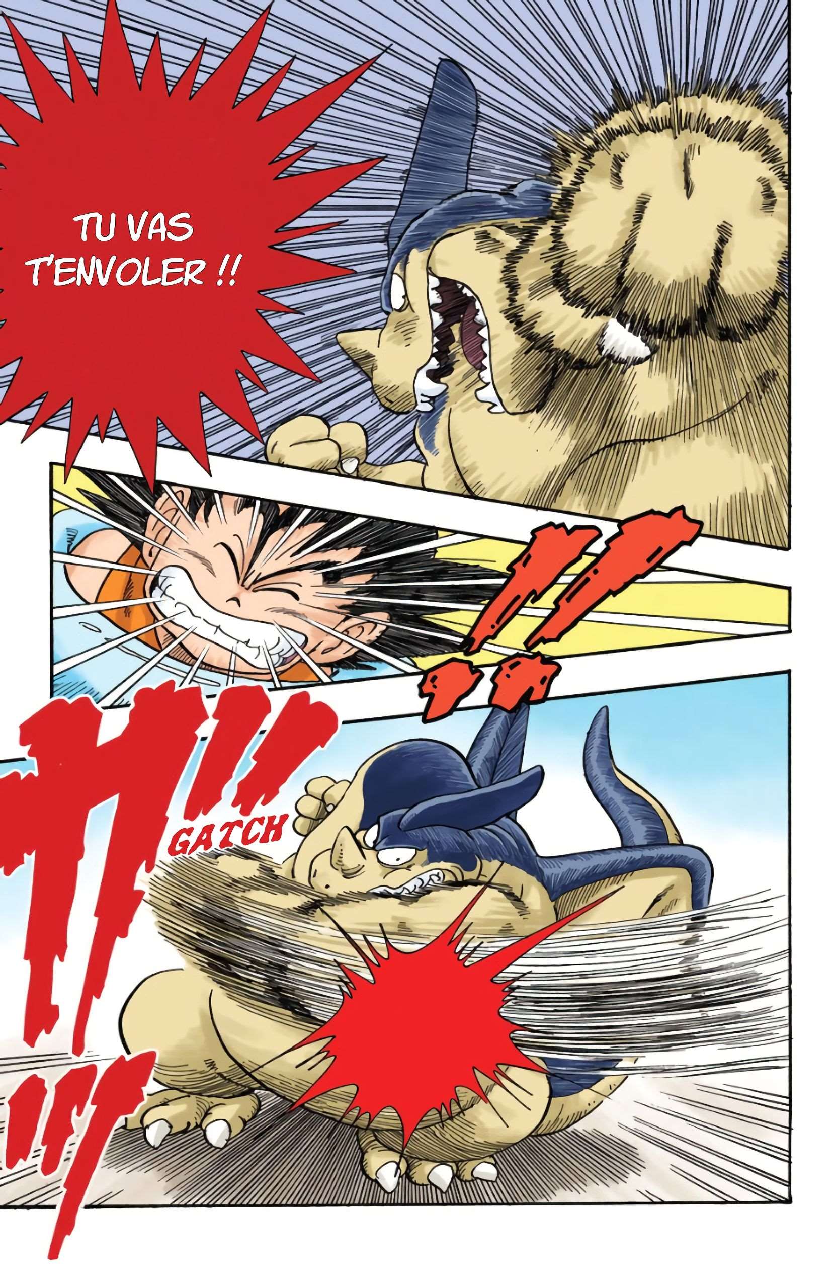 Chapitre 40 — Goku et sa queue — page 10