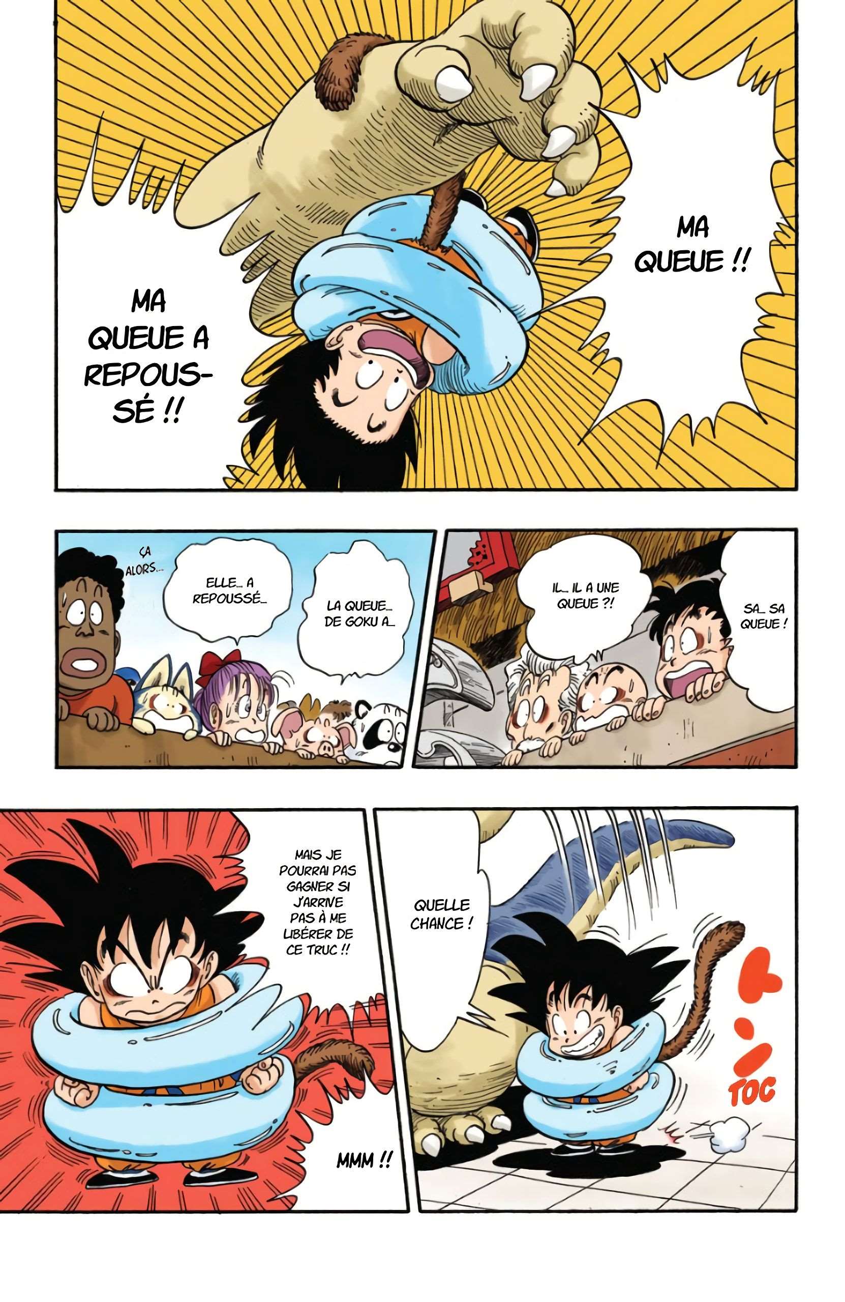 Chapitre 40 — Goku et sa queue — page 12