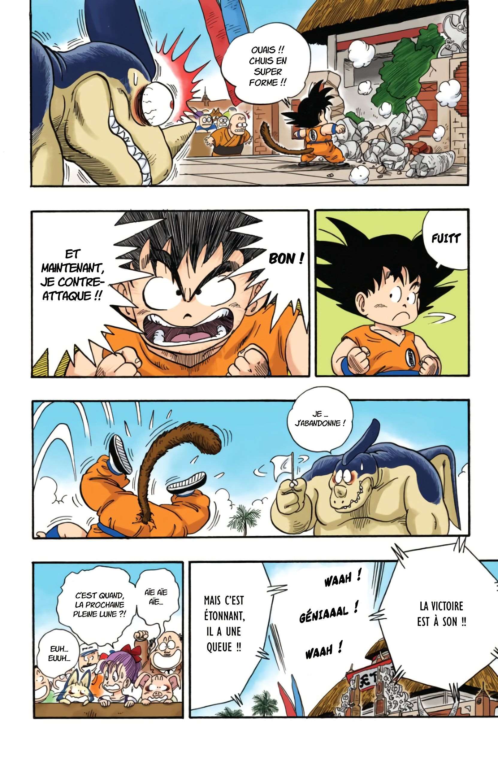 Chapitre 40 — Goku et sa queue — page 15