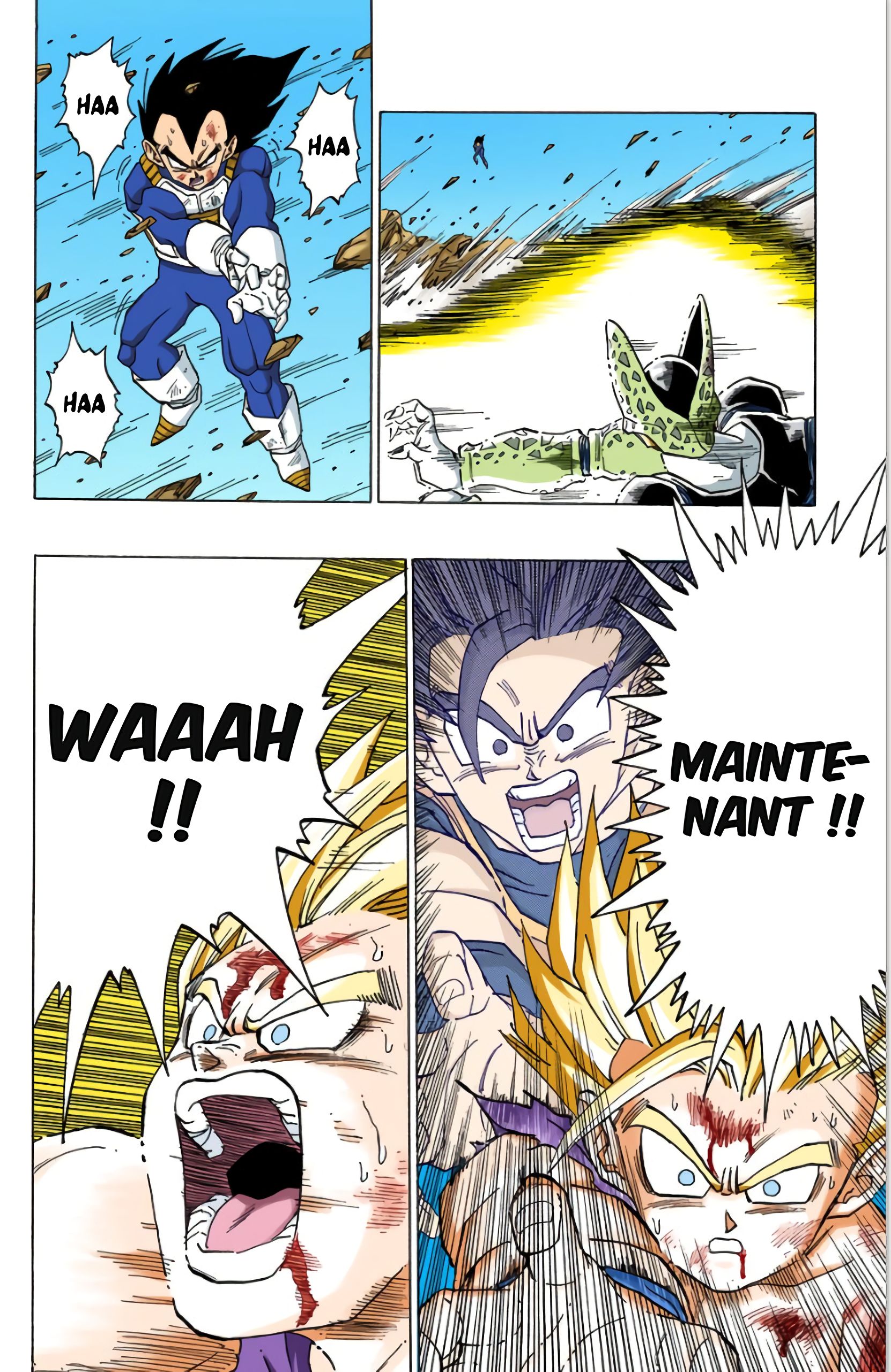 Chapitre 416 — Kamé Hamé Ha contre Kamé Hamé Ha, l'affrontement final — page 9